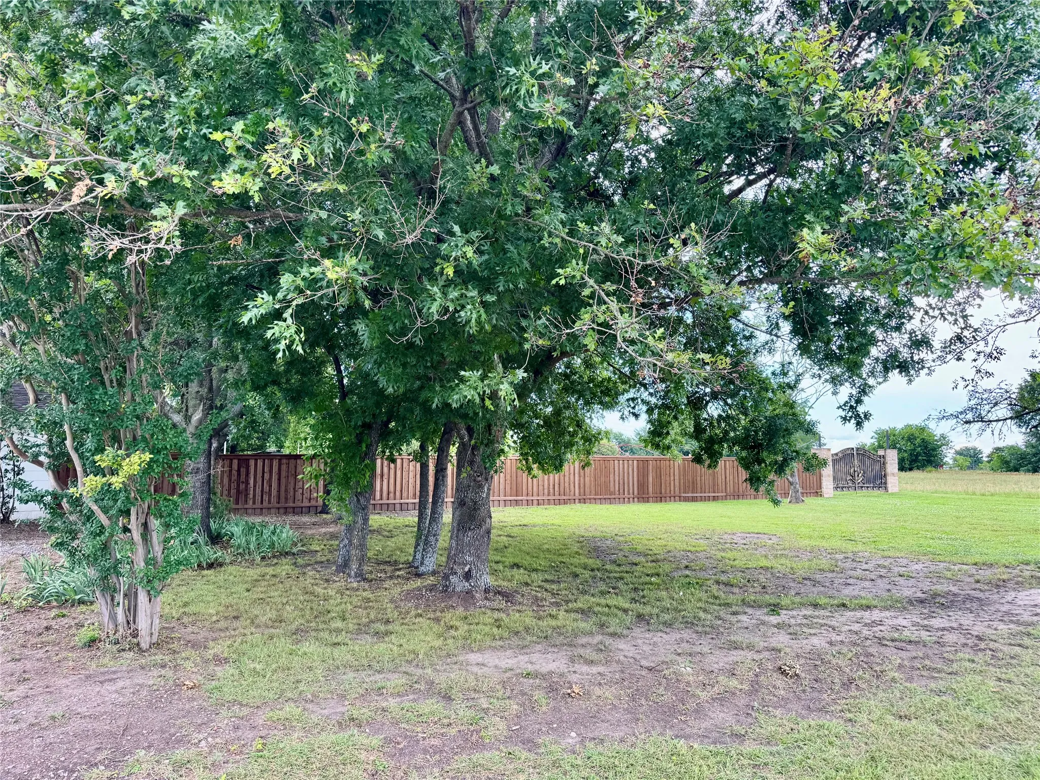 Front yard