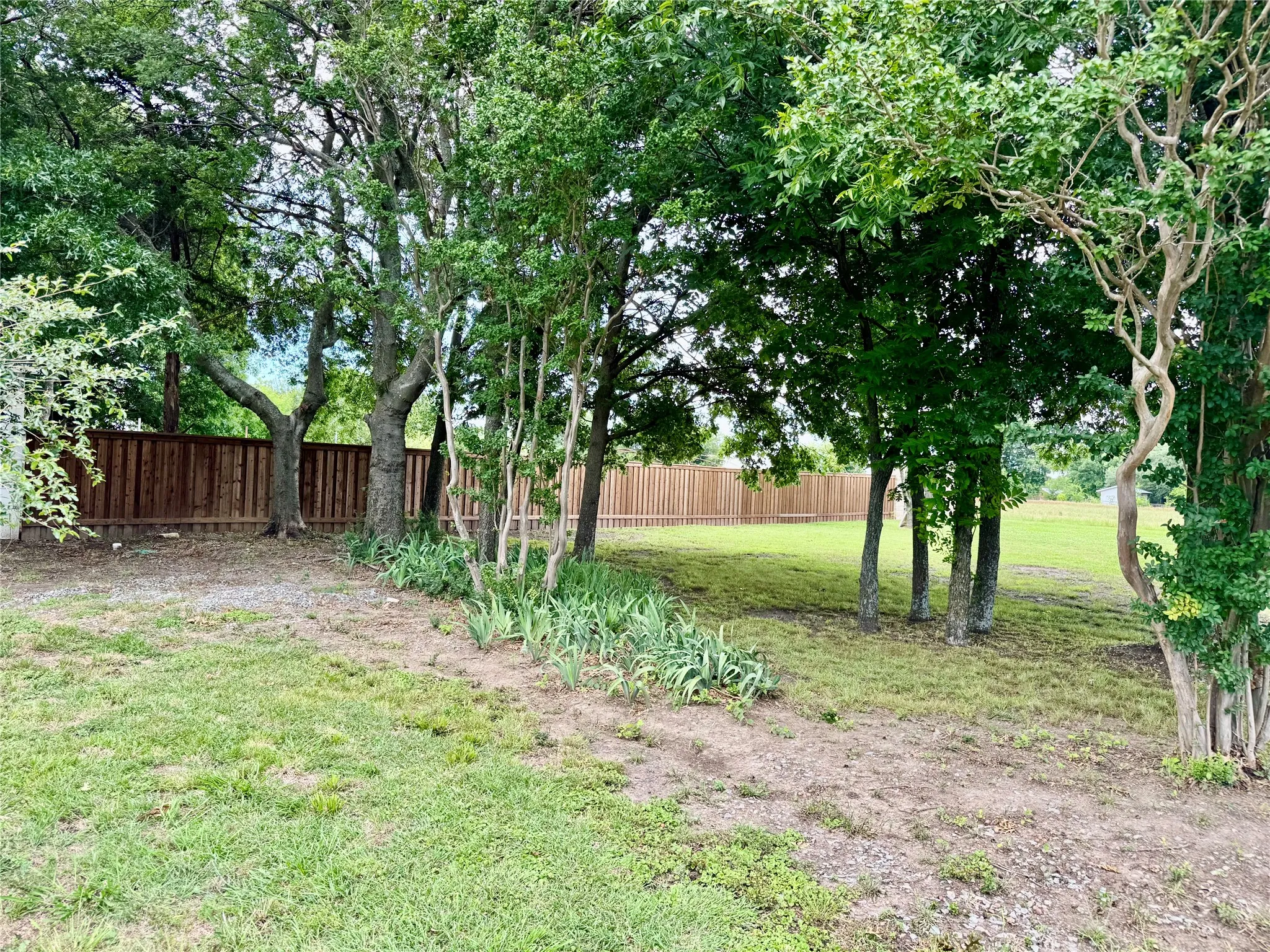 Front yard