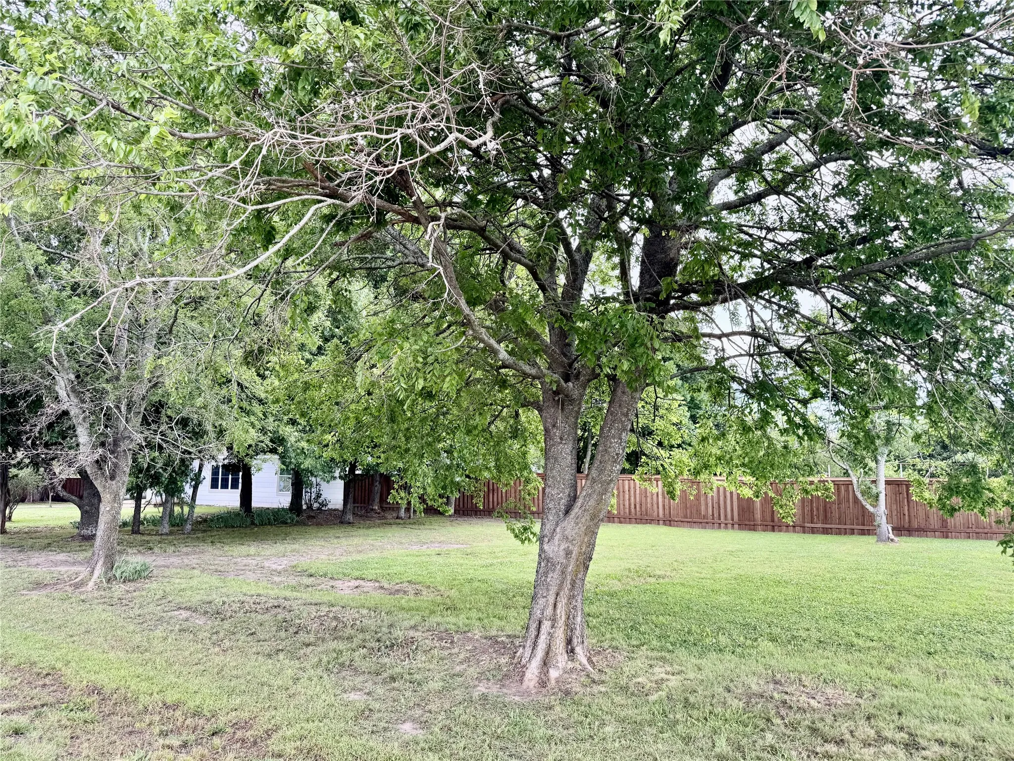 Front Yard