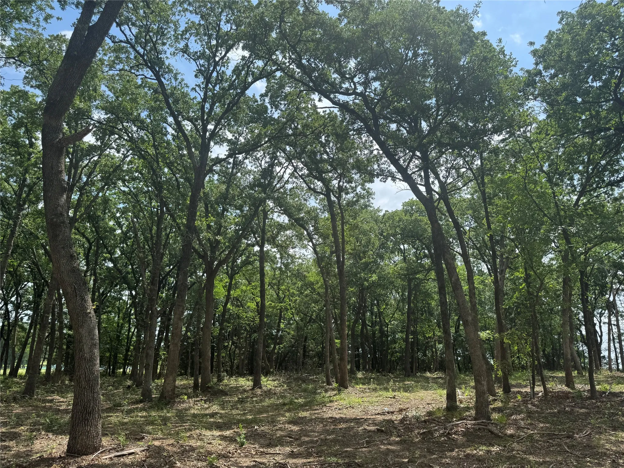 Improved Land For Sale in Grayson County , 1216 Buck Trail, Pottsboro, Texas 75076, 0, 0, Garage spaces, 0 Sqft, built in 0, Price $200,000, mls#21275827, Real Estate Agent in Pottsboro, Homes For Sale in Grayson county, Homes For Sale in Pottsboro, Realtor in Pottsboro Texas, Real Estate Brokerage Independent Realty Texas, Luminita Cordes Realtor