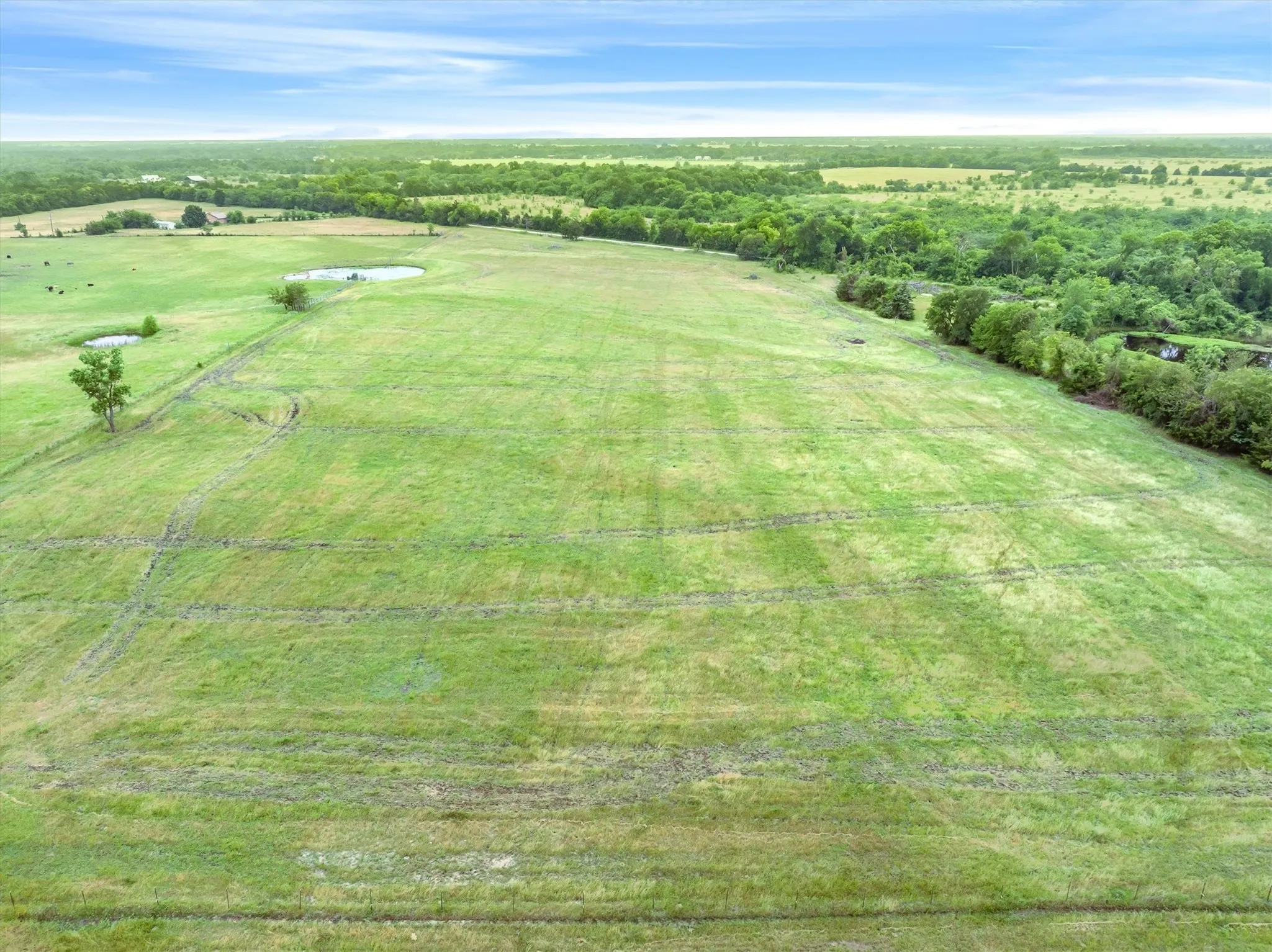 Unimproved Land For Sale in Van Zandt County , TBD VZ County Rd 3812, Wills Point, Texas 75169, 0, 0, Garage spaces, 0 Sqft, built in 0, mls#21278243, Real Estate Agent in Wills Point, Homes For Sale in Van Zandt county, Homes For Sale in Wills Point, Realtor in Wills Point Texas, Real Estate Brokerage Independent Realty Texas, Luminita Cordes Realtor