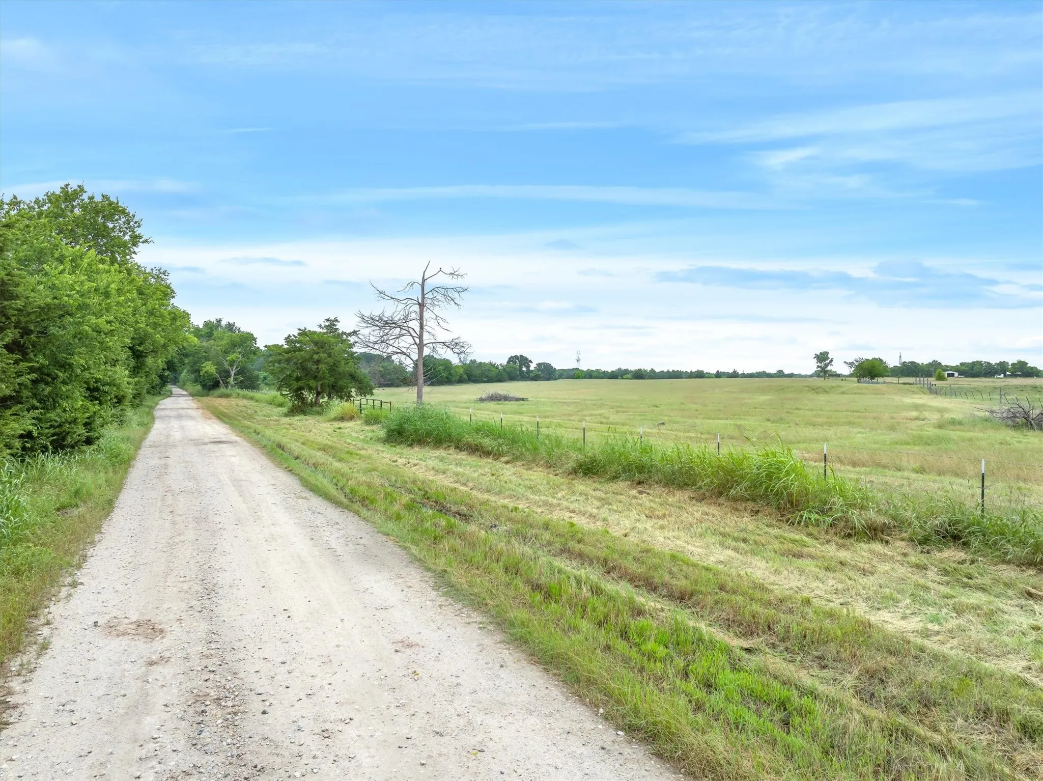 Unimproved Land For Sale in Van Zandt County , TBD VZ County Rd 3812, Wills Point, Texas 75169, 0, 0, Garage spaces, 0 Sqft, built in 0, mls#21278243, Real Estate Agent in Wills Point, Homes For Sale in Van Zandt county, Homes For Sale in Wills Point, Realtor in Wills Point Texas, Real Estate Brokerage Independent Realty Texas, Luminita Cordes Realtor