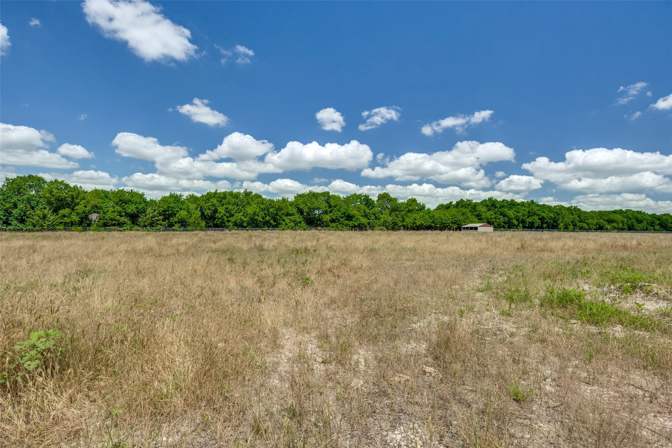 Expansive open field with natural vegetation, bordered by a dense line of mature trees