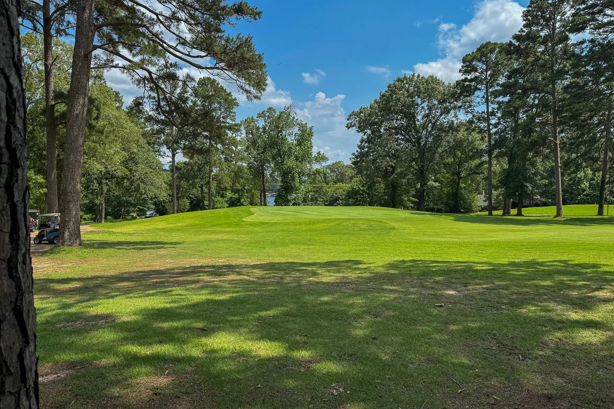 Expansive green space featuring a golf course, mature trees, and distant water