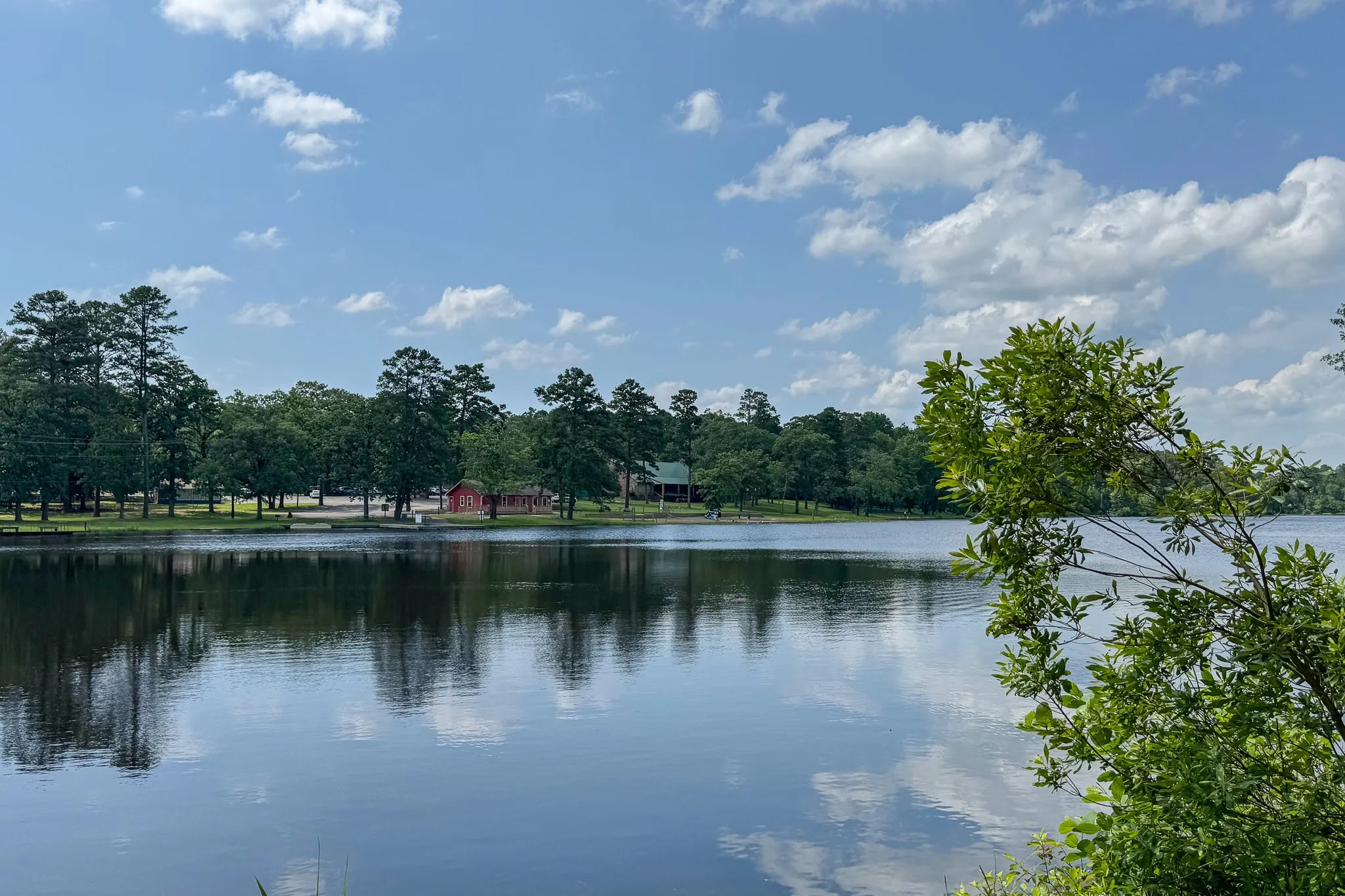 Expansive lakefront setting with verdant trees lining the distant shore, reflecting on the water's surface
