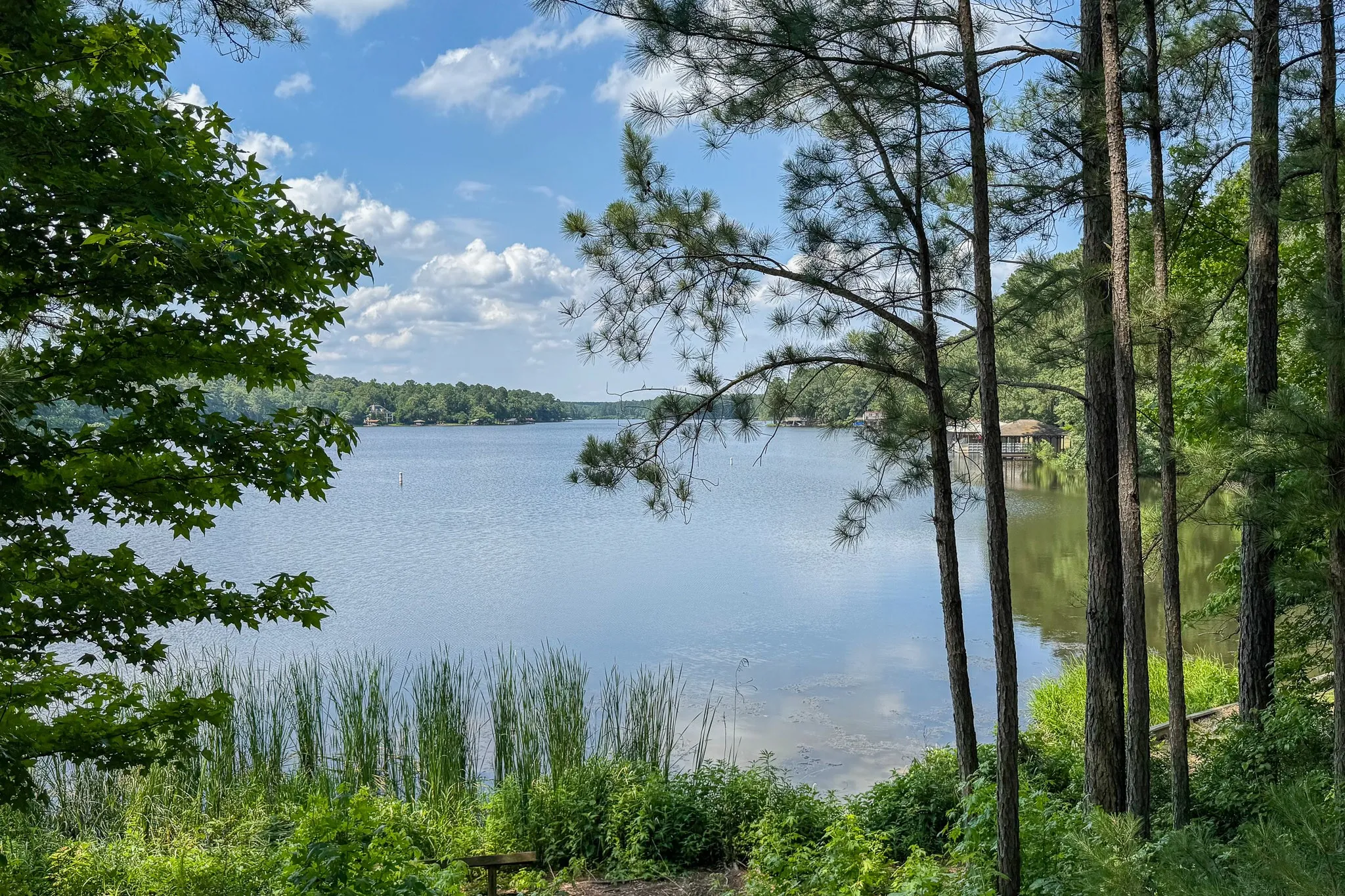 Expansive lakefront setting framed by mature trees