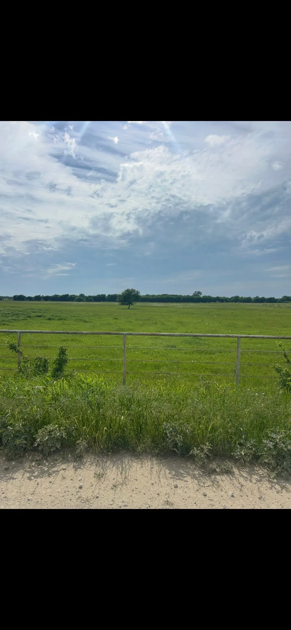 Unimproved Land For Sale in Grayson County , 10.5 acres OHANLON Road, Whitesboro, Texas 76273, 0, 0, Garage spaces, 0 Sqft, built in 0, mls#21246538, Real Estate Agent in Whitesboro, Homes For Sale in Grayson county, Homes For Sale in Whitesboro, Realtor in Whitesboro Texas, Real Estate Brokerage Independent Realty Texas, Luminita Cordes Realtor