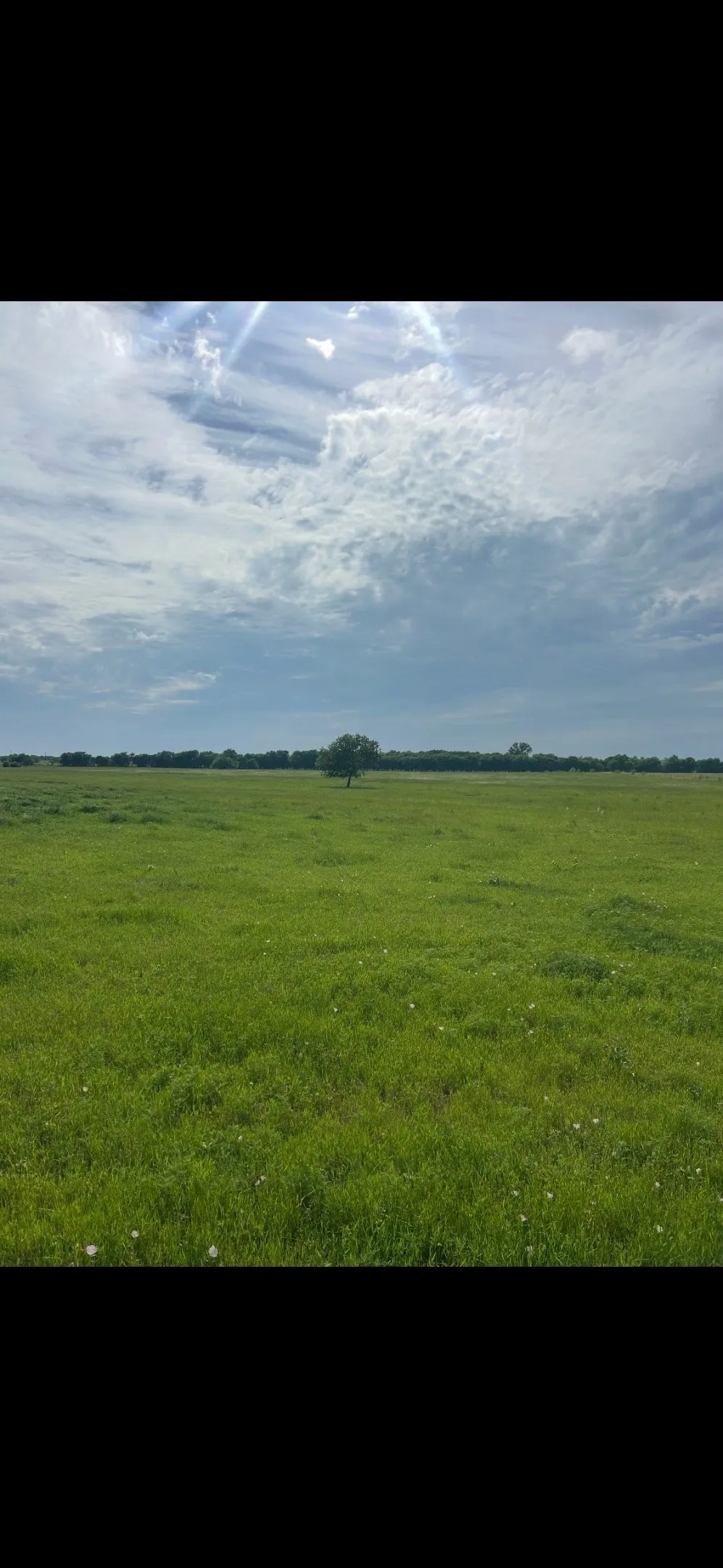 Unimproved Land For Sale in Grayson County , 10.5 acres OHANLON Road, Whitesboro, Texas 76273, 0, 0, Garage spaces, 0 Sqft, built in 0, mls#21246538, Real Estate Agent in Whitesboro, Homes For Sale in Grayson county, Homes For Sale in Whitesboro, Realtor in Whitesboro Texas, Real Estate Brokerage Independent Realty Texas, Luminita Cordes Realtor