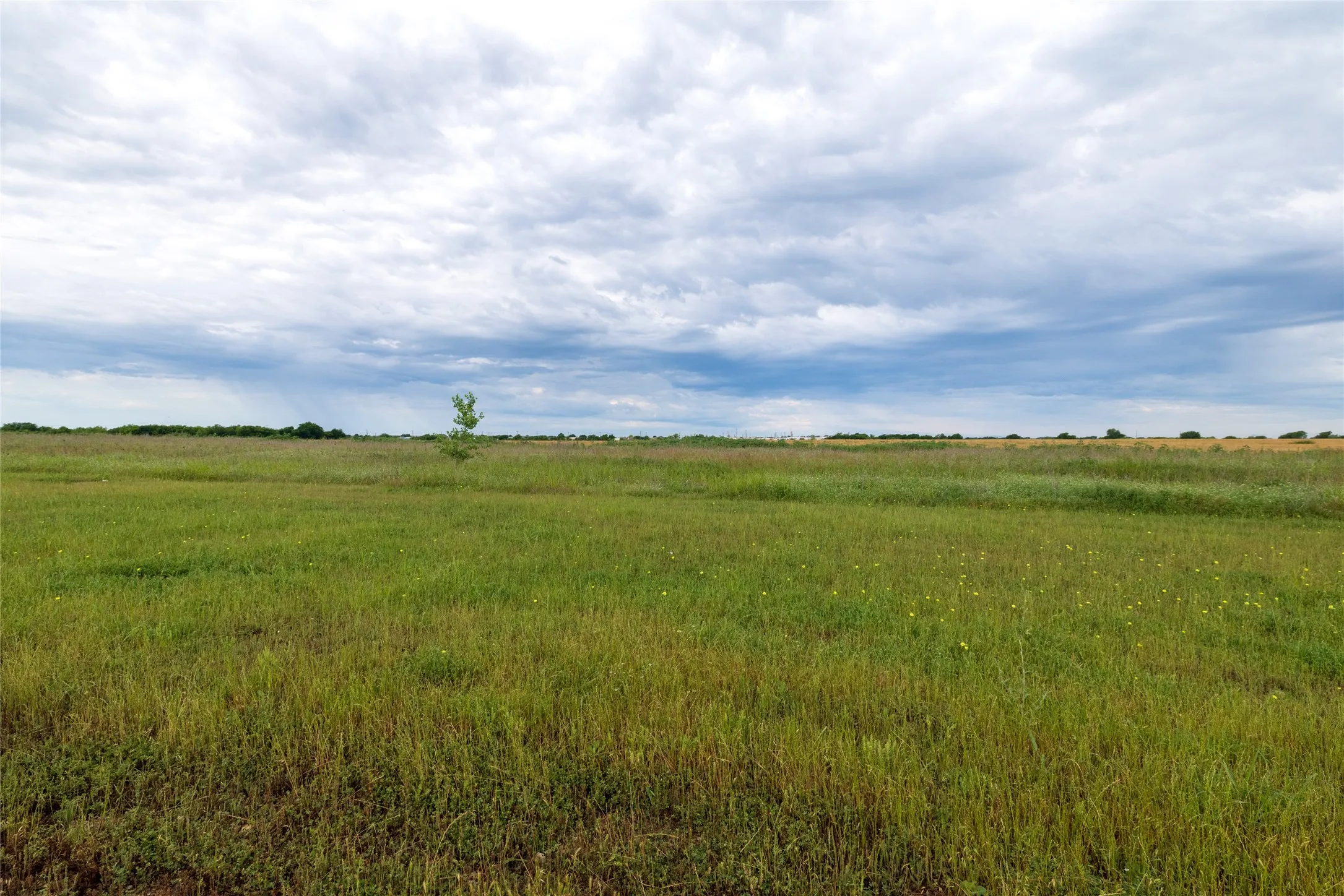 Field nearby community