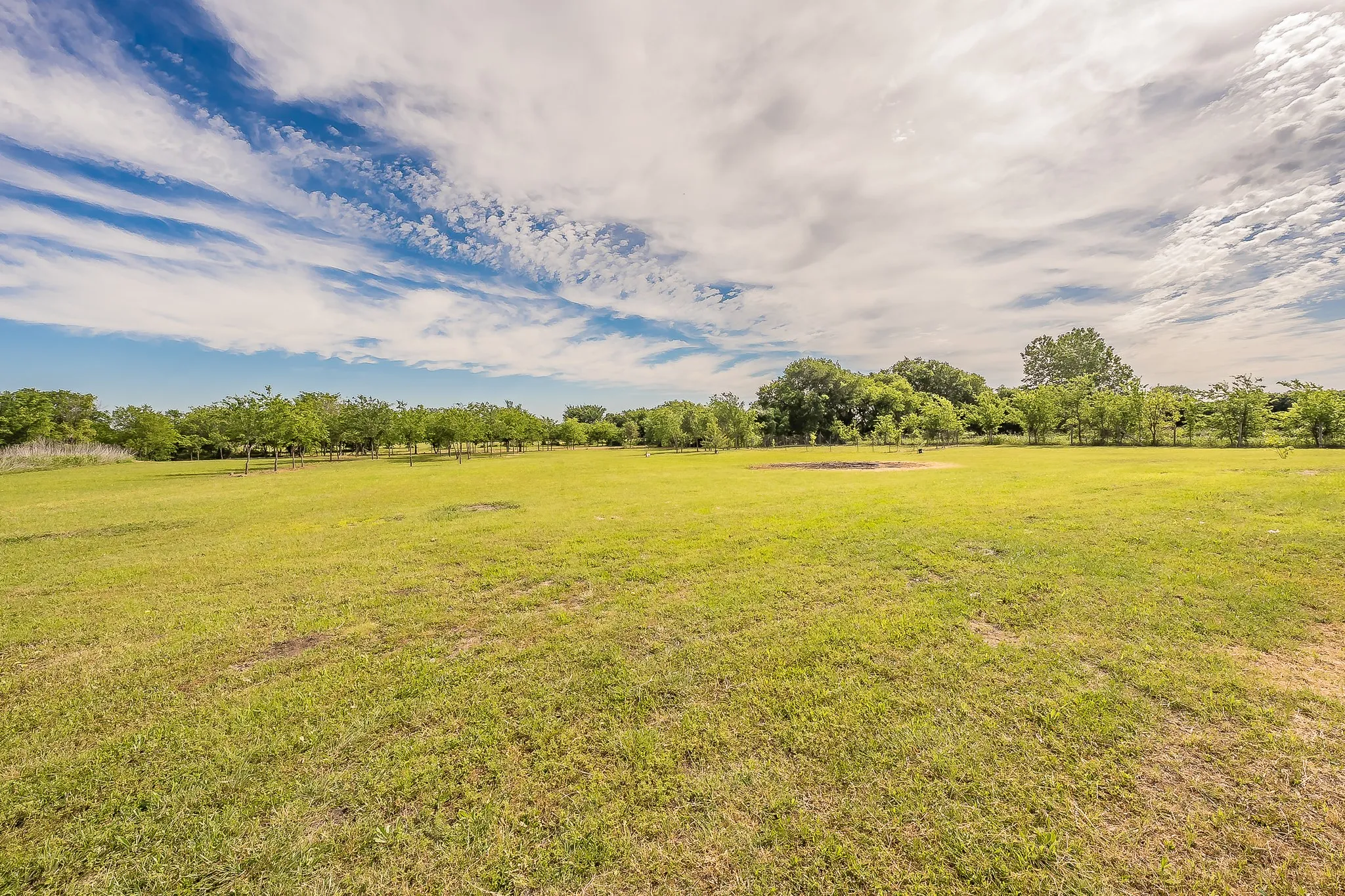 Wide open acreage with plenty of room for animals, gardening, or future additions