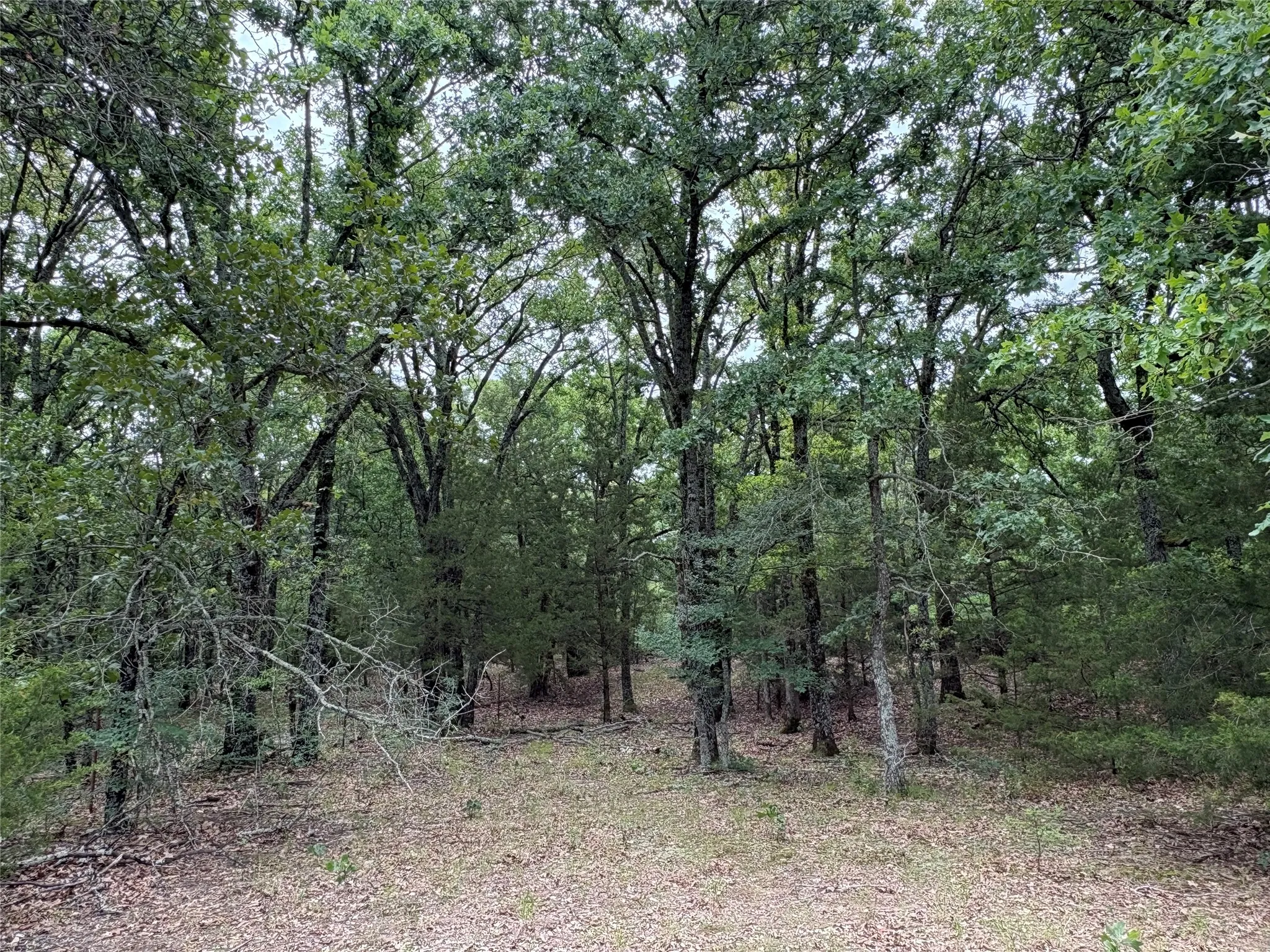 Single Family Residence For Sale in Hopkins County , 2212 County Road 4128, Cumby, Texas 75433, 2 Bedrooms, 1 Bathroom, Garage spaces, 1,394 Sqft, built in 2023, Price $775,000, mls#21272183, Real Estate Agent in Cumby, Homes For Sale in Hopkins county, Homes For Sale in Cumby, Realtor in Cumby Texas, Real Estate Brokerage Independent Realty Texas, Luminita Cordes Realtor