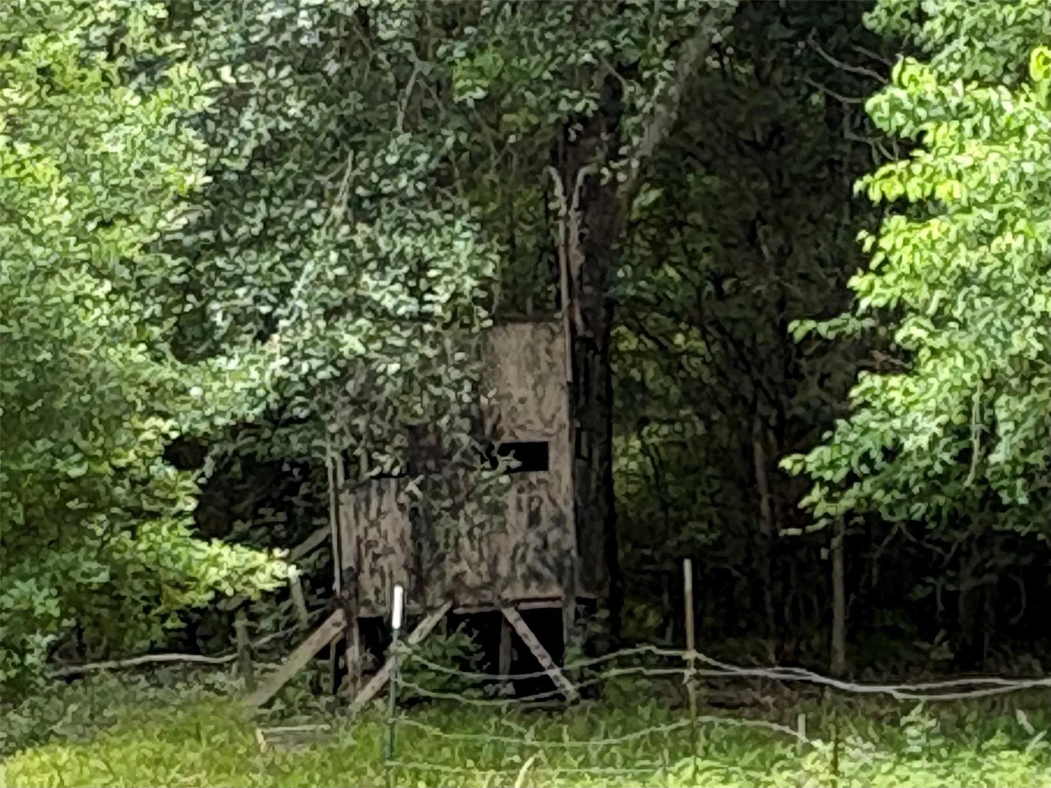 Single Family Residence For Sale in Hopkins County , 2212 County Road 4128, Cumby, Texas 75433, 2 Bedrooms, 1 Bathroom, Garage spaces, 1,394 Sqft, built in 2023, Price $775,000, mls#21272183, Real Estate Agent in Cumby, Homes For Sale in Hopkins county, Homes For Sale in Cumby, Realtor in Cumby Texas, Real Estate Brokerage Independent Realty Texas, Luminita Cordes Realtor