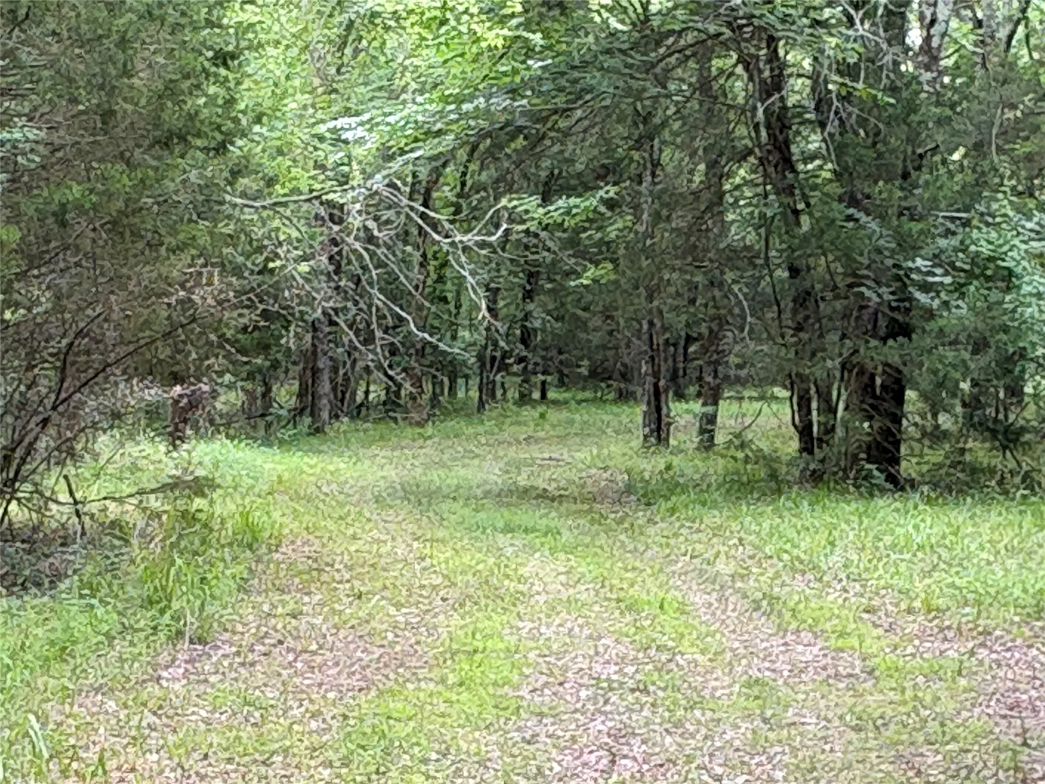 Single Family Residence For Sale in Hopkins County , 2212 County Road 4128, Cumby, Texas 75433, 2 Bedrooms, 1 Bathroom, Garage spaces, 1,394 Sqft, built in 2023, Price $775,000, mls#21272183, Real Estate Agent in Cumby, Homes For Sale in Hopkins county, Homes For Sale in Cumby, Realtor in Cumby Texas, Real Estate Brokerage Independent Realty Texas, Luminita Cordes Realtor