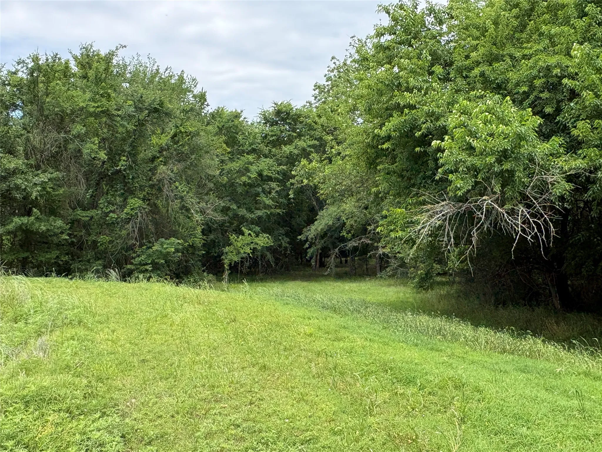 Single Family Residence For Sale in Hopkins County , 2212 County Road 4128, Cumby, Texas 75433, 2 Bedrooms, 1 Bathroom, Garage spaces, 1,394 Sqft, built in 2023, Price $775,000, mls#21272183, Real Estate Agent in Cumby, Homes For Sale in Hopkins county, Homes For Sale in Cumby, Realtor in Cumby Texas, Real Estate Brokerage Independent Realty Texas, Luminita Cordes Realtor