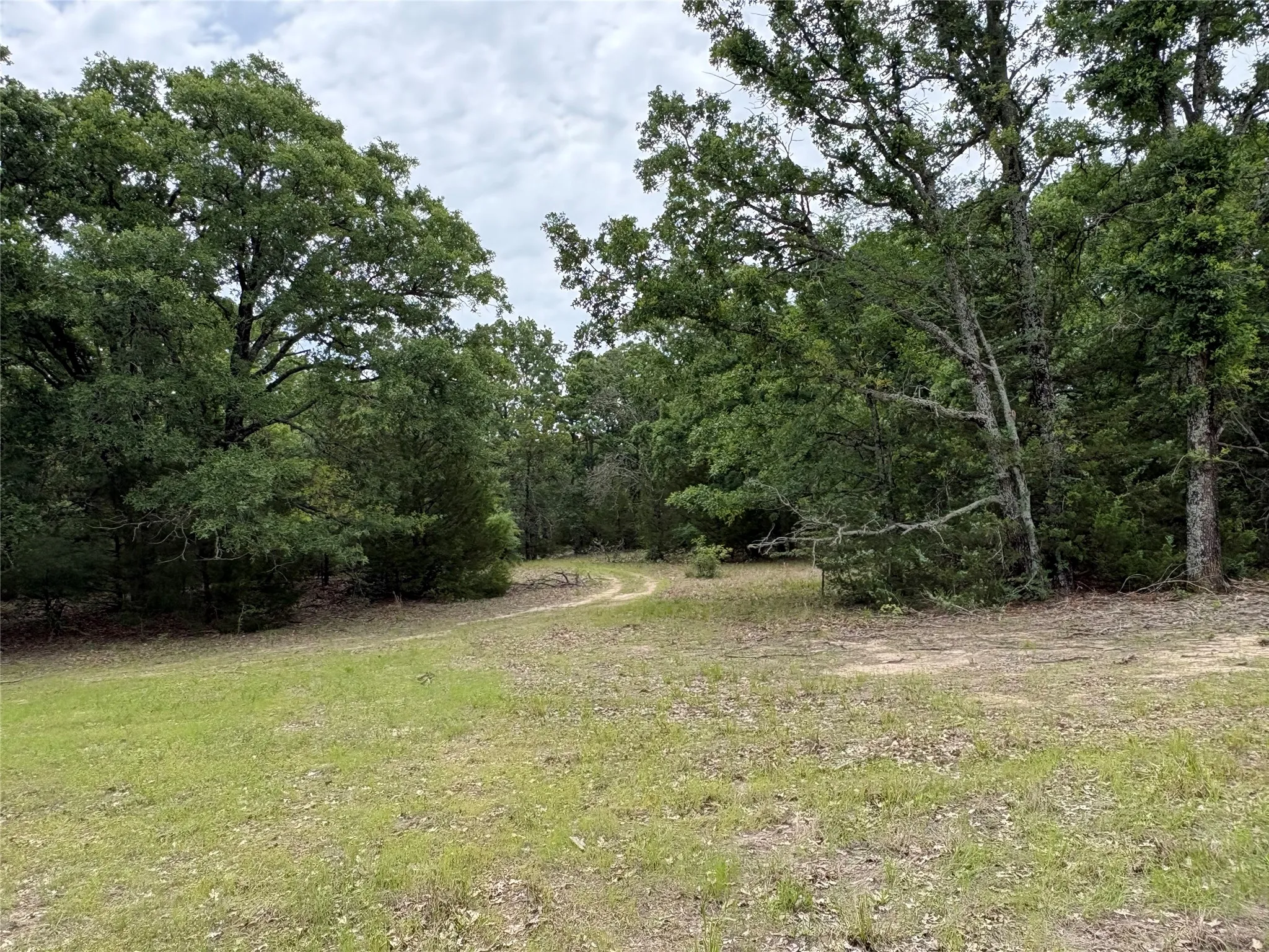 Single Family Residence For Sale in Hopkins County , 2212 County Road 4128, Cumby, Texas 75433, 2 Bedrooms, 1 Bathroom, Garage spaces, 1,394 Sqft, built in 2023, Price $775,000, mls#21272183, Real Estate Agent in Cumby, Homes For Sale in Hopkins county, Homes For Sale in Cumby, Realtor in Cumby Texas, Real Estate Brokerage Independent Realty Texas, Luminita Cordes Realtor