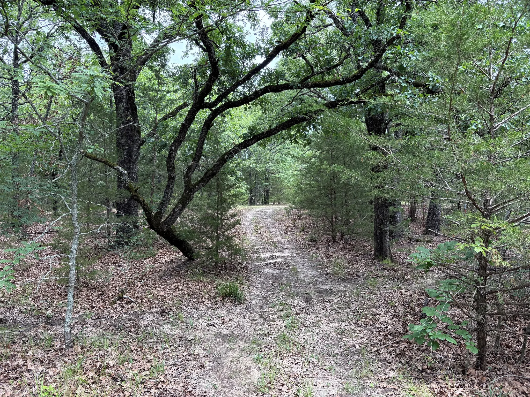 Single Family Residence For Sale in Hopkins County , 2212 County Road 4128, Cumby, Texas 75433, 2 Bedrooms, 1 Bathroom, Garage spaces, 1,394 Sqft, built in 2023, Price $775,000, mls#21272183, Real Estate Agent in Cumby, Homes For Sale in Hopkins county, Homes For Sale in Cumby, Realtor in Cumby Texas, Real Estate Brokerage Independent Realty Texas, Luminita Cordes Realtor