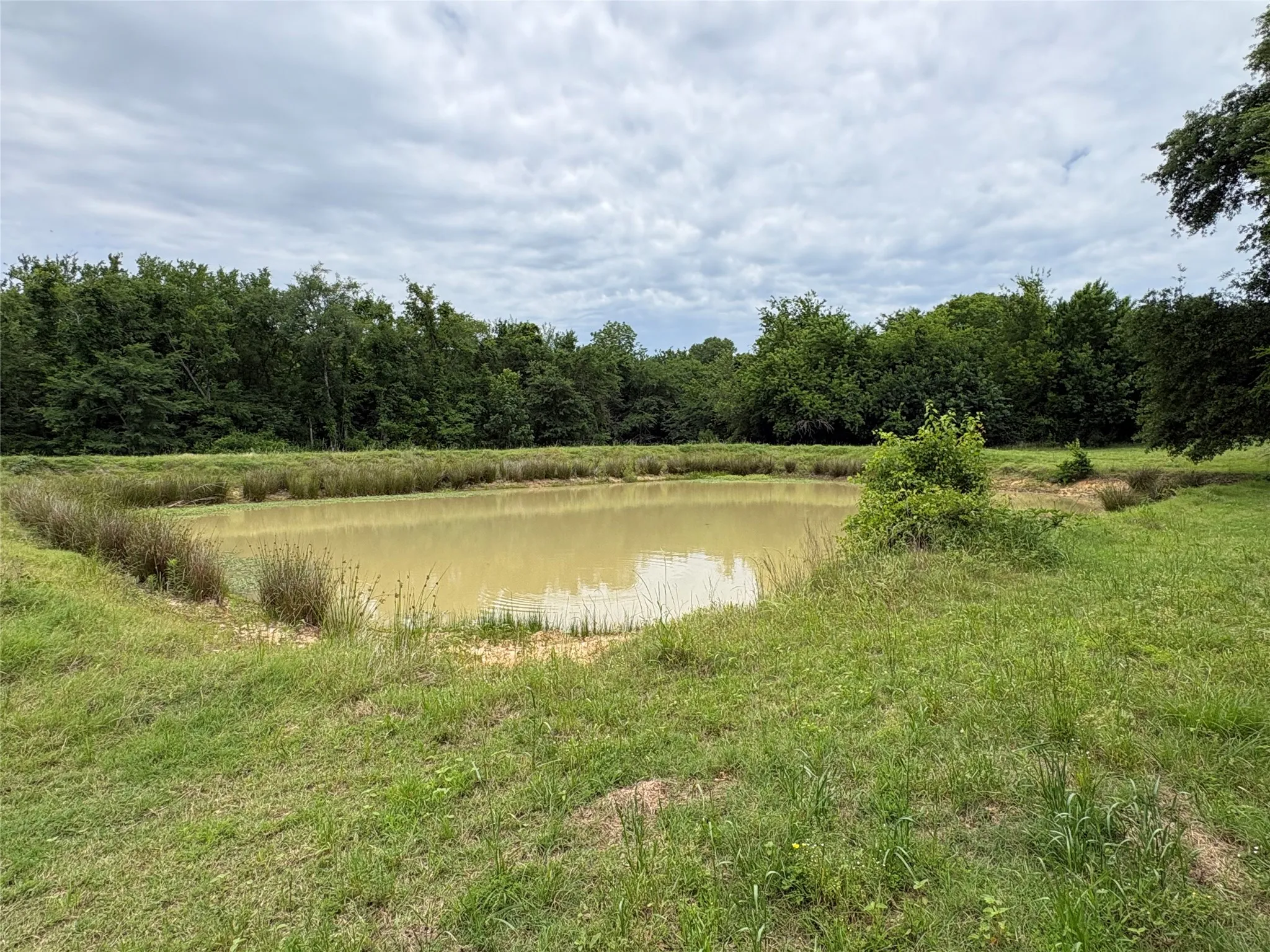 Single Family Residence For Sale in Hopkins County , 2212 County Road 4128, Cumby, Texas 75433, 2 Bedrooms, 1 Bathroom, Garage spaces, 1,394 Sqft, built in 2023, Price $775,000, mls#21272183, Real Estate Agent in Cumby, Homes For Sale in Hopkins county, Homes For Sale in Cumby, Realtor in Cumby Texas, Real Estate Brokerage Independent Realty Texas, Luminita Cordes Realtor