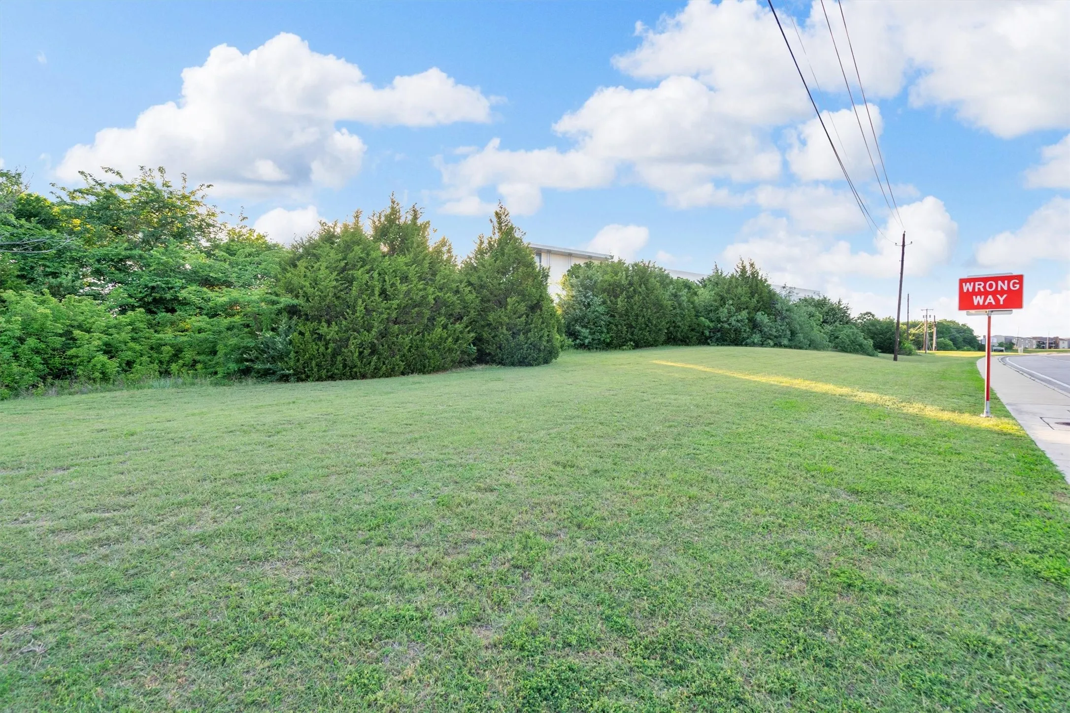 Expansive grassy lot with mature perimeter trees and street frontage