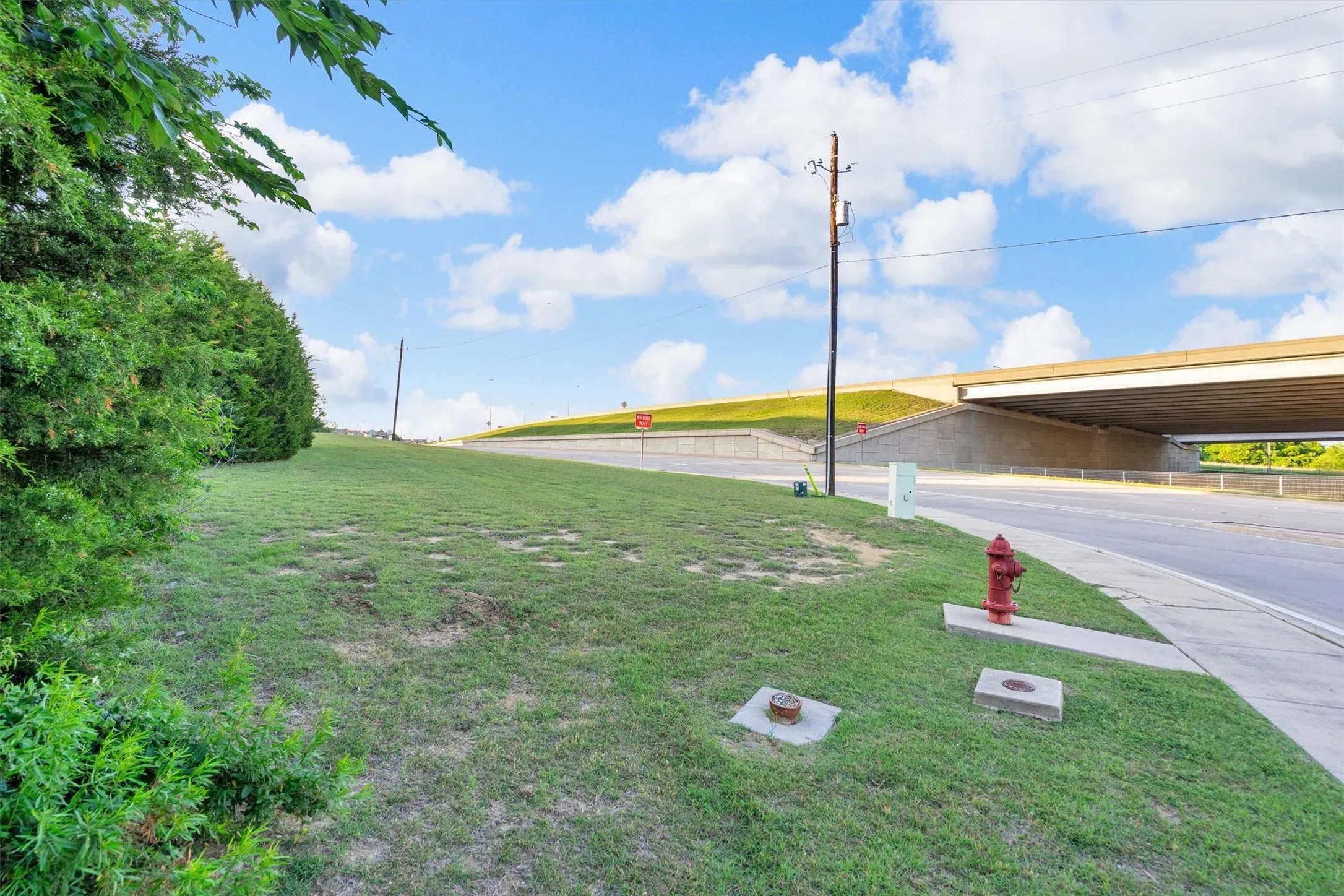 Grassy roadside area featuring mature shrubbery, a concrete sidewalk, and a street fire hydrant