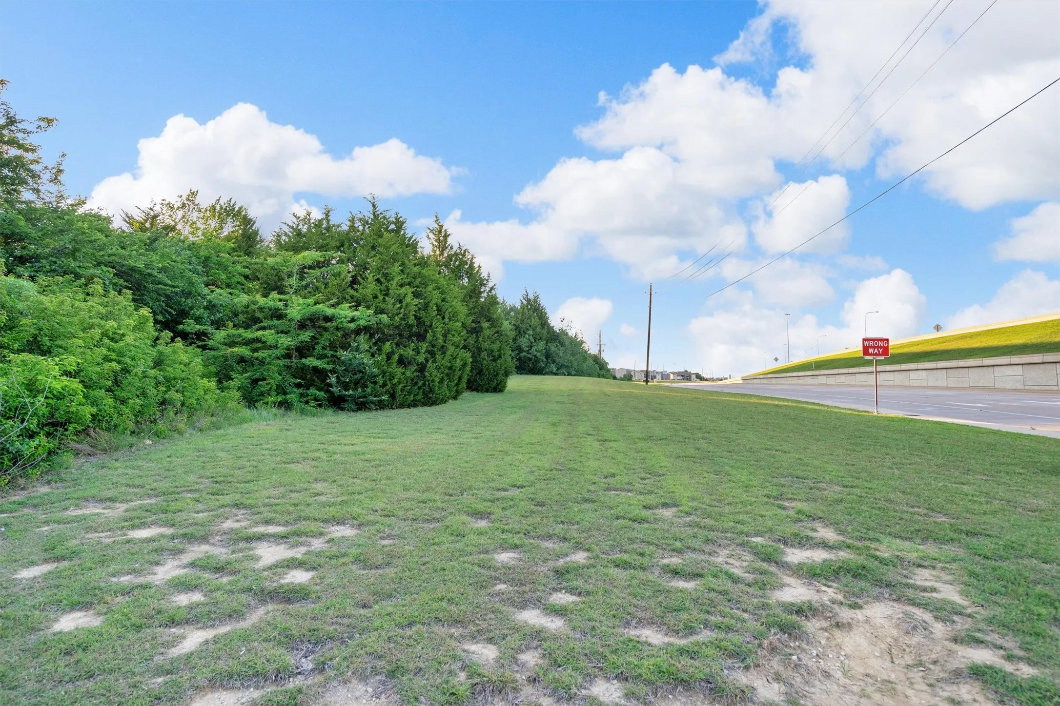 Expansive green space featuring mature trees and established shrubbery along the property line