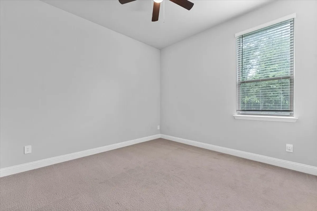 Bright room featuring a window with blinds, light gray wall paint, white trim, and neutral-toned carpeting