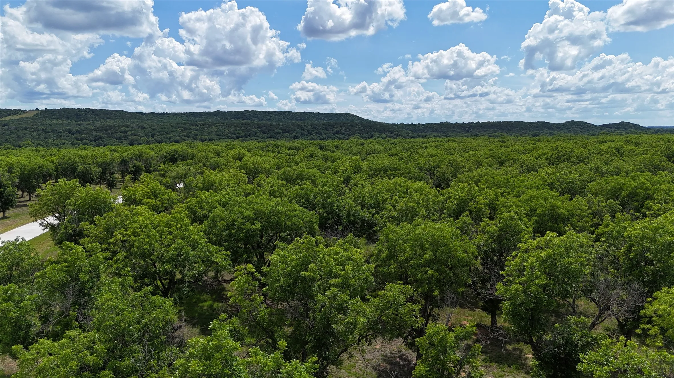 Improved Land For Sale in Johnson County , 200 Poco Bueno Court, Granbury, Texas 76049, 0, 0, Garage spaces, 0 Sqft, built in 0, Price $289,000, mls#21280621, Real Estate Agent in Granbury, Homes For Sale in Johnson county, Homes For Sale in Granbury, Realtor in Granbury Texas, Real Estate Brokerage Independent Realty Texas, Luminita Cordes Realtor