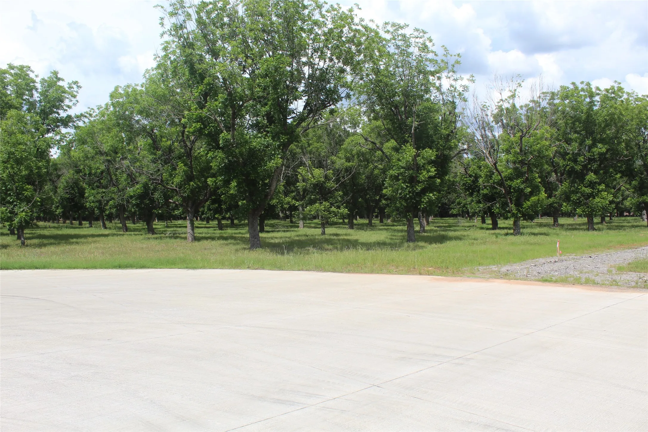 Improved Land For Sale in Johnson County , 200 Poco Bueno Court, Granbury, Texas 76049, 0, 0, Garage spaces, 0 Sqft, built in 0, Price $289,000, mls#21280621, Real Estate Agent in Granbury, Homes For Sale in Johnson county, Homes For Sale in Granbury, Realtor in Granbury Texas, Real Estate Brokerage Independent Realty Texas, Luminita Cordes Realtor