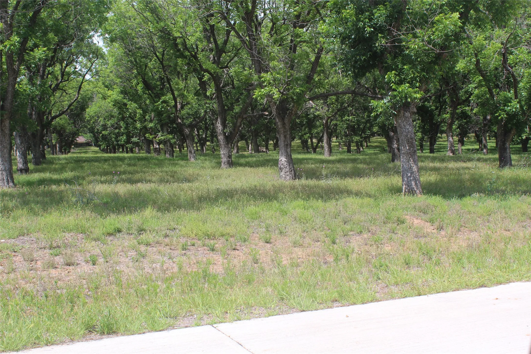 Improved Land For Sale in Johnson County , 206 Poco Bueno Court, Granbury, Texas 76049, 0, 0, Garage spaces, 0 Sqft, built in 0, Price $399,000, mls#21280920, Real Estate Agent in Granbury, Homes For Sale in Johnson county, Homes For Sale in Granbury, Realtor in Granbury Texas, Real Estate Brokerage Independent Realty Texas, Luminita Cordes Realtor