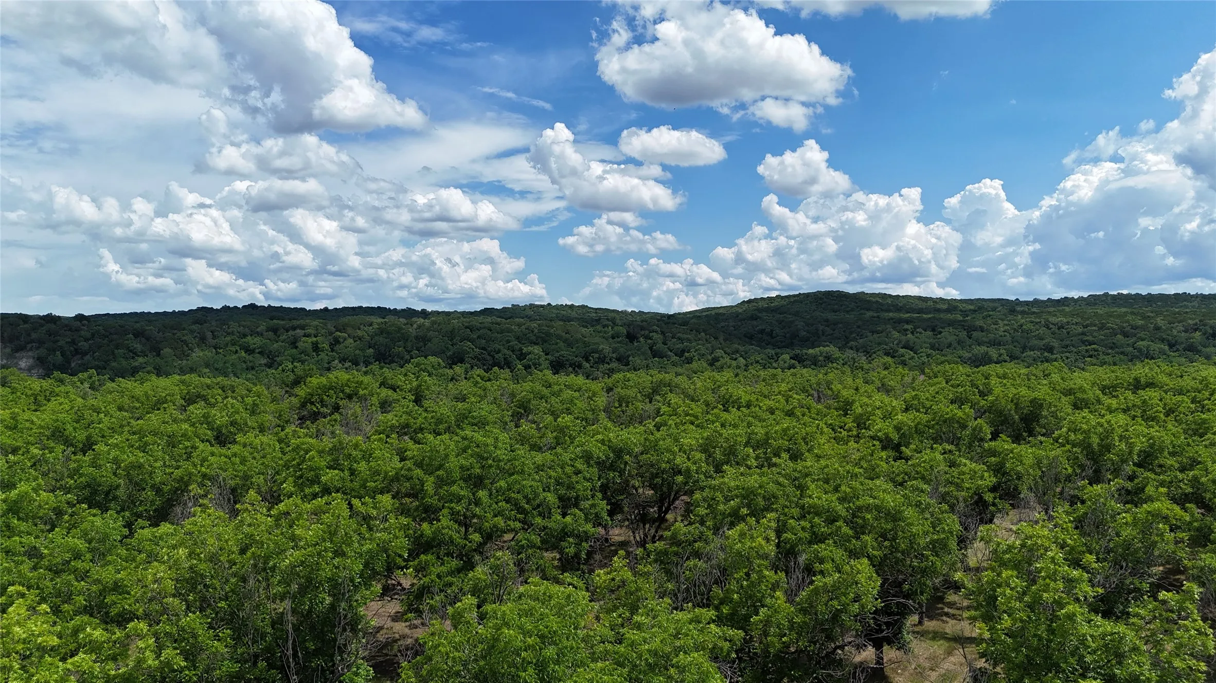 Improved Land For Sale in Johnson County , 206 Poco Bueno Court, Granbury, Texas 76049, 0, 0, Garage spaces, 0 Sqft, built in 0, Price $399,000, mls#21280920, Real Estate Agent in Granbury, Homes For Sale in Johnson county, Homes For Sale in Granbury, Realtor in Granbury Texas, Real Estate Brokerage Independent Realty Texas, Luminita Cordes Realtor