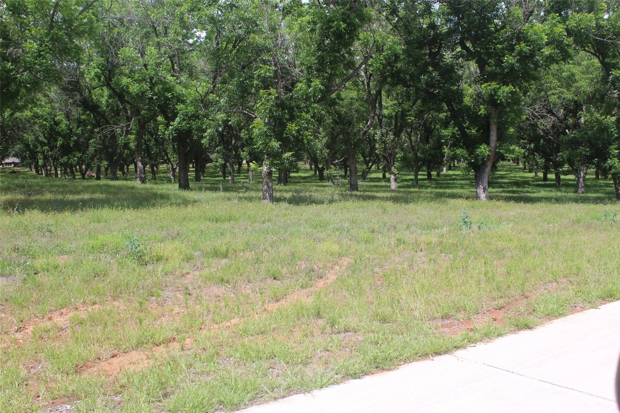 Improved Land For Sale in Johnson County , 206 Poco Bueno Court, Granbury, Texas 76049, 0, 0, Garage spaces, 0 Sqft, built in 0, Price $399,000, mls#21280920, Real Estate Agent in Granbury, Homes For Sale in Johnson county, Homes For Sale in Granbury, Realtor in Granbury Texas, Real Estate Brokerage Independent Realty Texas, Luminita Cordes Realtor