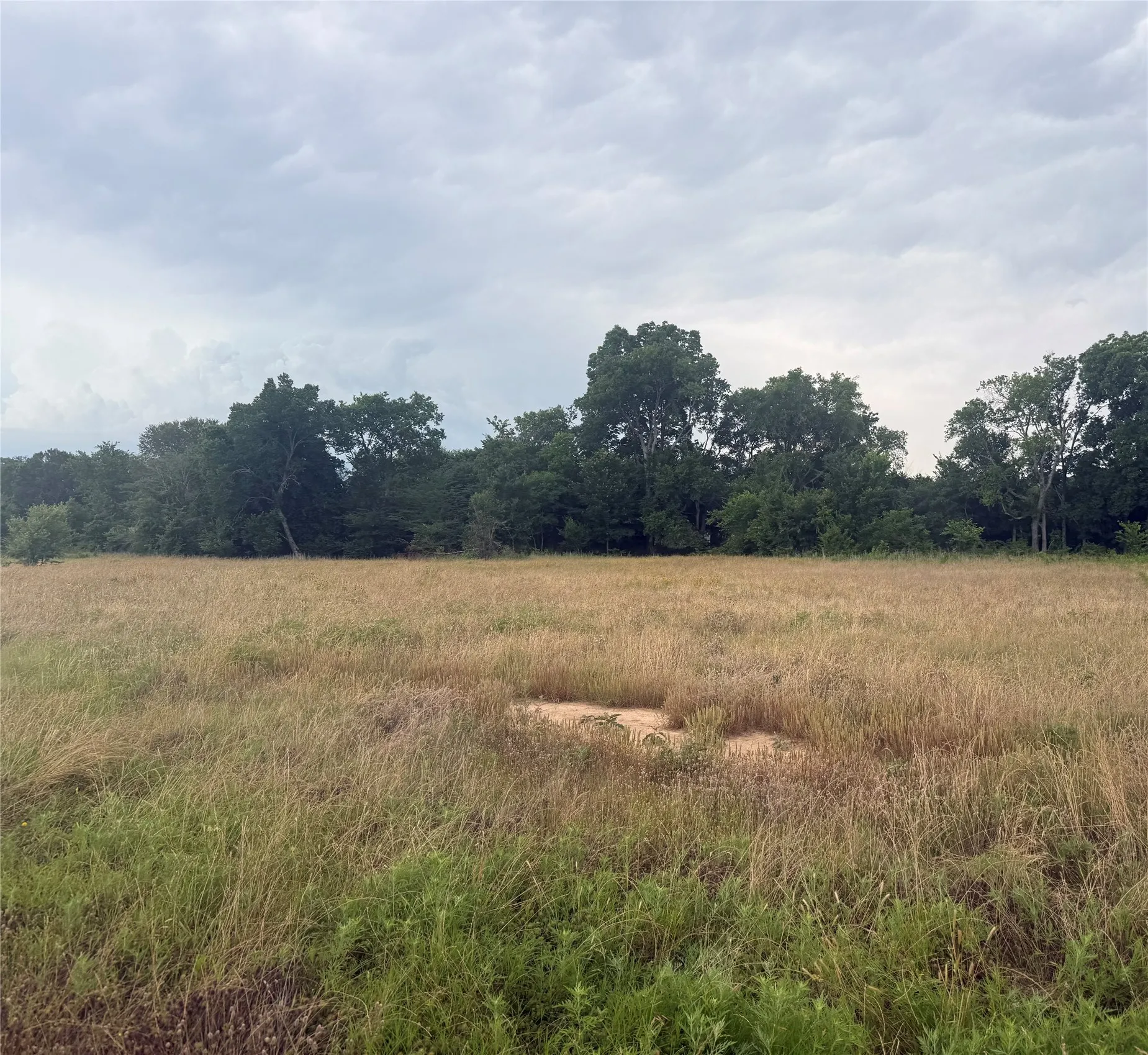 Unimproved Land For Sale in Van Zandt County , TBD PECAN OAK TRL, Wills Point, Texas 75080, 0, 0, Garage spaces, 0 Sqft, built in 0, Price $175,000, mls#21280986, Real Estate Agent in Wills Point, Homes For Sale in Van Zandt county, Homes For Sale in Wills Point, Realtor in Wills Point Texas, Real Estate Brokerage Independent Realty Texas, Luminita Cordes Realtor