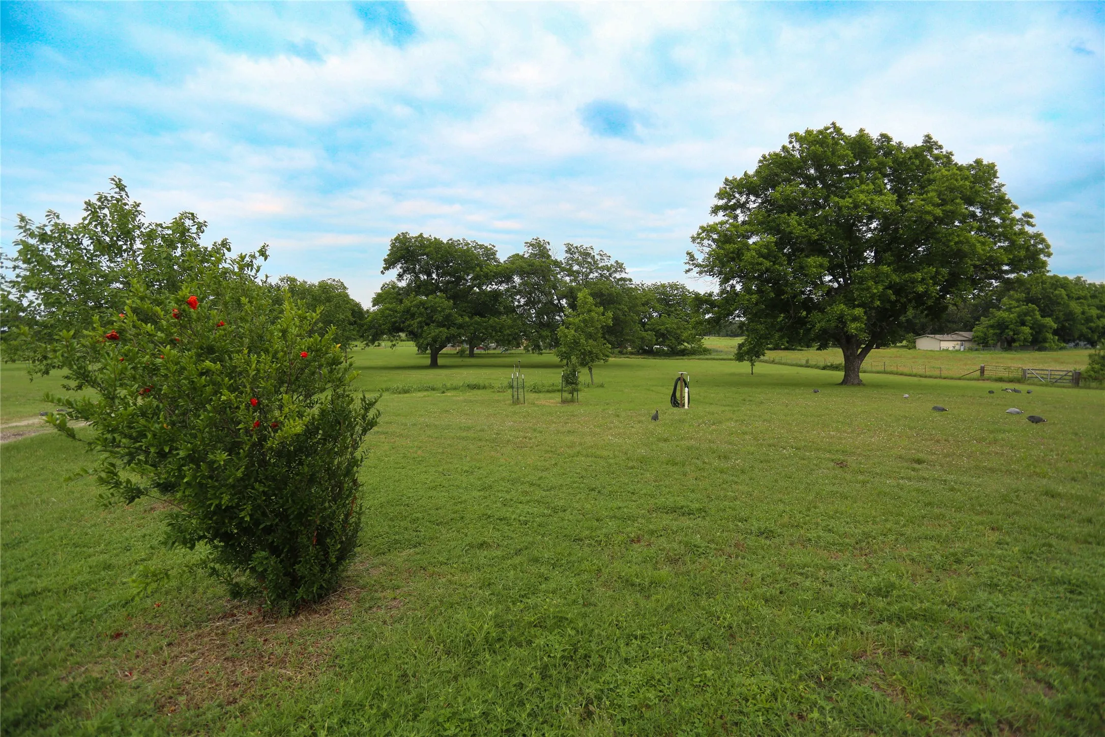 Farm For Sale in Comanche County , 1166 County Road 403, Comanche, Texas 76442, 2 Bedrooms, 2 Bathrooms, 3 Garage spaces, 1,200 Sqft, built in 2010, Price $575,000, mls#21278820, Real Estate Agent in Comanche, Homes For Sale in Comanche county, Homes For Sale in Comanche, Realtor in Comanche Texas, Real Estate Brokerage Independent Realty Texas, Luminita Cordes Realtor