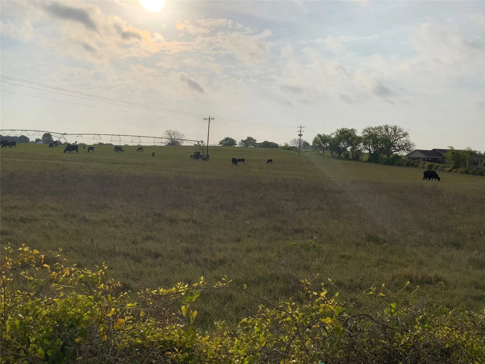 Unimproved Land For Sale in Comanche County , 261 County Road 403, Comanche, Texas 76442, 0, 0, Garage spaces, 0 Sqft, built in 0, Price $127,500, mls#21281201, Real Estate Agent in Comanche, Homes For Sale in Comanche county, Homes For Sale in Comanche, Realtor in Comanche Texas, Real Estate Brokerage Independent Realty Texas, Luminita Cordes Realtor
