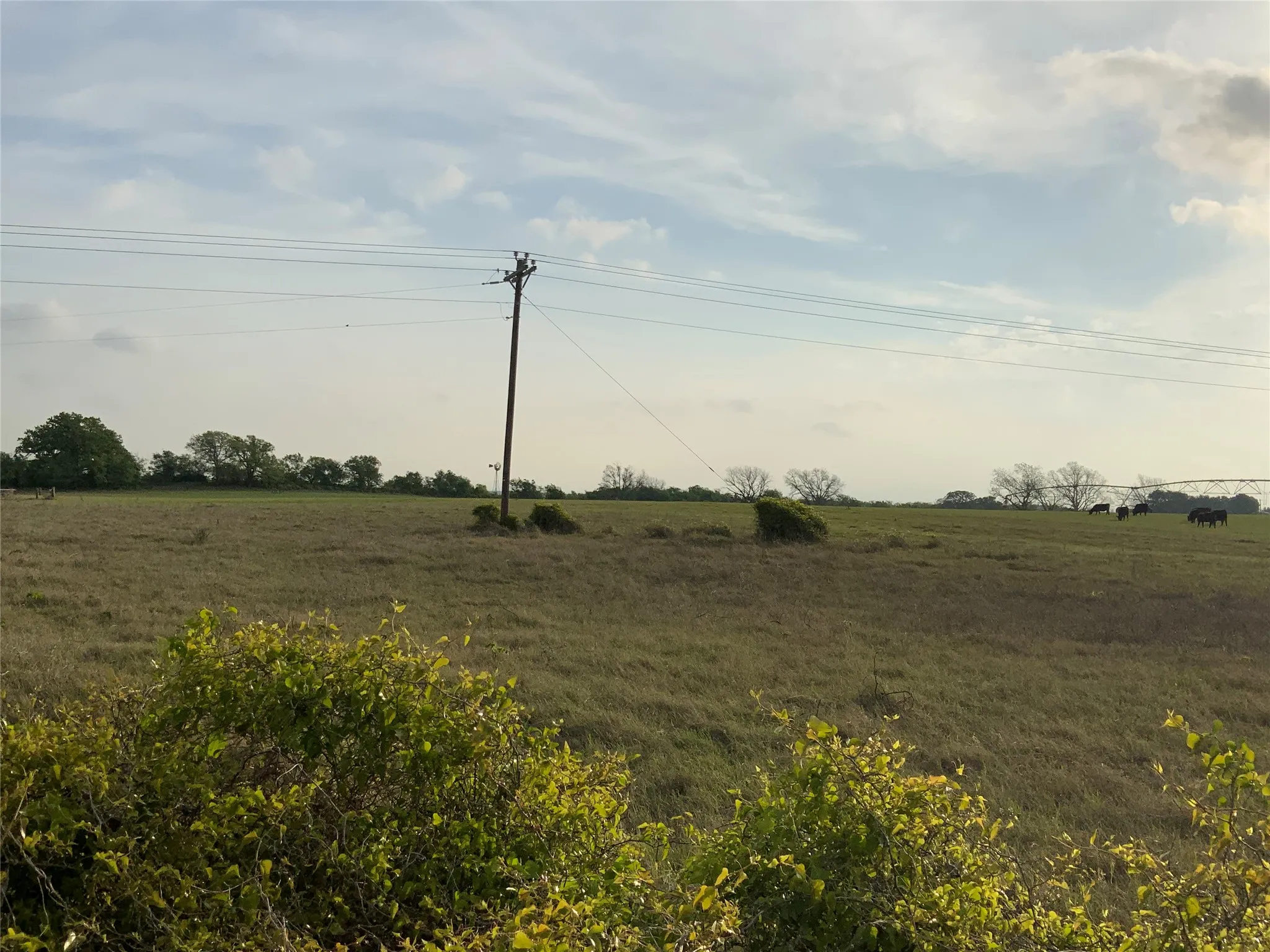 Unimproved Land For Sale in Comanche County , 261 County Road 403, Comanche, Texas 76442, 0, 0, Garage spaces, 0 Sqft, built in 0, Price $127,500, mls#21281201, Real Estate Agent in Comanche, Homes For Sale in Comanche county, Homes For Sale in Comanche, Realtor in Comanche Texas, Real Estate Brokerage Independent Realty Texas, Luminita Cordes Realtor
