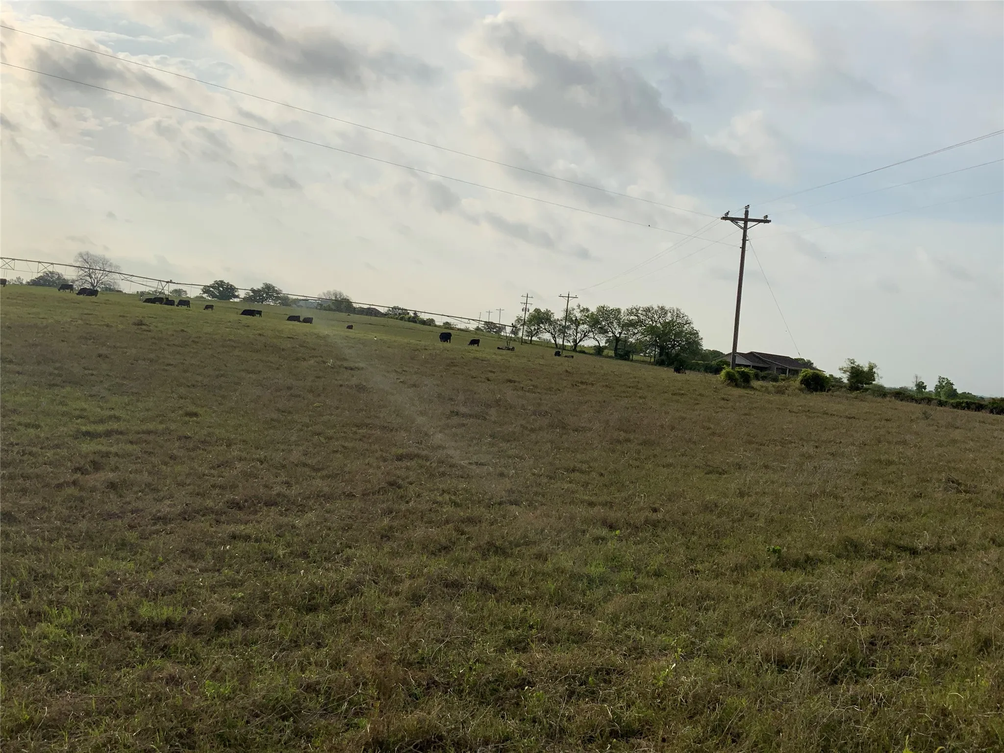 Unimproved Land For Sale in Comanche County , 261 County Road 403, Comanche, Texas 76442, 0, 0, Garage spaces, 0 Sqft, built in 0, Price $127,500, mls#21281201, Real Estate Agent in Comanche, Homes For Sale in Comanche county, Homes For Sale in Comanche, Realtor in Comanche Texas, Real Estate Brokerage Independent Realty Texas, Luminita Cordes Realtor