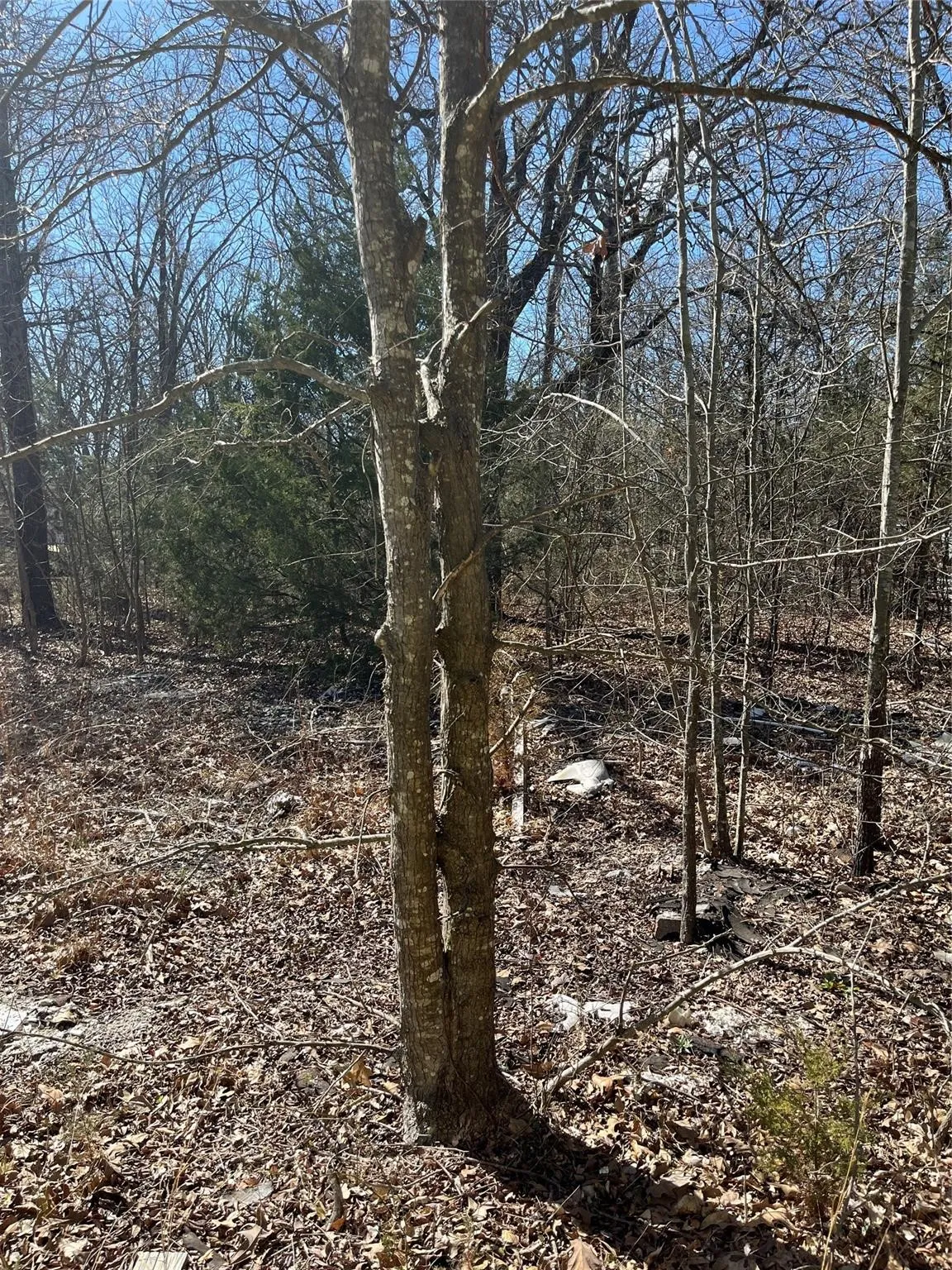 Unimproved Land For Sale in Hunt County , 0 County Road 3605, Quinlan, Texas 75474, 0, 0, Garage spaces, 0 Sqft, built in 0, Price $20,000, mls#21281286, Real Estate Agent in Quinlan, Homes For Sale in Hunt county, Homes For Sale in Quinlan, Realtor in Quinlan Texas, Real Estate Brokerage Independent Realty Texas, Luminita Cordes Realtor