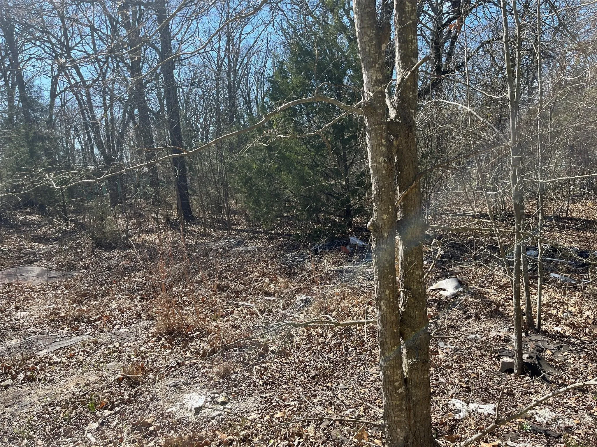 Unimproved Land For Sale in Hunt County , 0 County Road 3605, Quinlan, Texas 75474, 0, 0, Garage spaces, 0 Sqft, built in 0, Price $20,000, mls#21281286, Real Estate Agent in Quinlan, Homes For Sale in Hunt county, Homes For Sale in Quinlan, Realtor in Quinlan Texas, Real Estate Brokerage Independent Realty Texas, Luminita Cordes Realtor