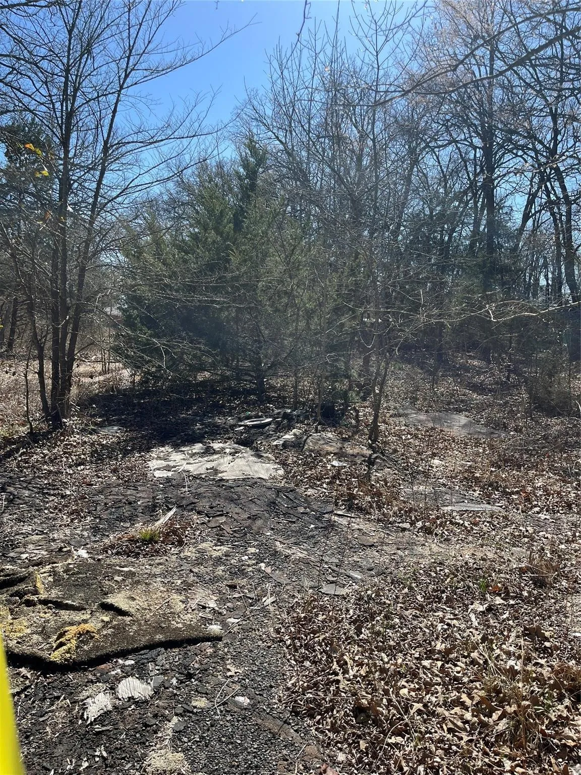 Unimproved Land For Sale in Hunt County , 0 County Road 3605, Quinlan, Texas 75474, 0, 0, Garage spaces, 0 Sqft, built in 0, Price $20,000, mls#21281286, Real Estate Agent in Quinlan, Homes For Sale in Hunt county, Homes For Sale in Quinlan, Realtor in Quinlan Texas, Real Estate Brokerage Independent Realty Texas, Luminita Cordes Realtor