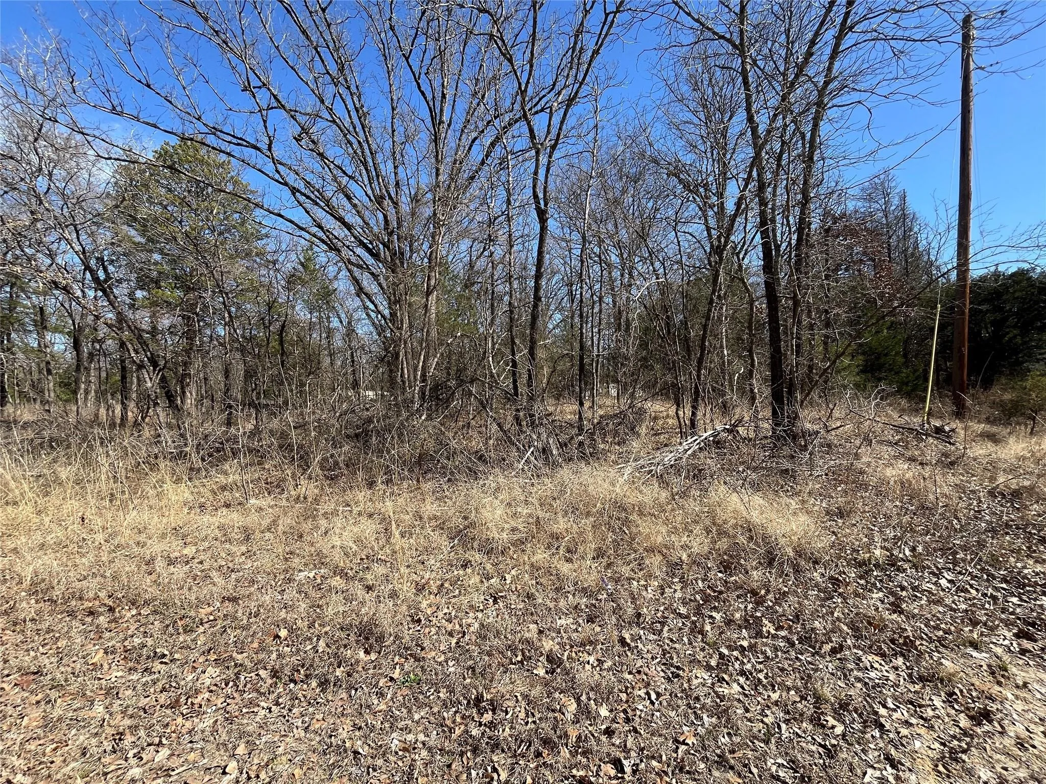 Unimproved Land For Sale in Hunt County , 0000 County Road 3605, Quinlan, Texas 75474, 0, 0, Garage spaces, 0 Sqft, built in 0, mls#21281298, Real Estate Agent in Quinlan, Homes For Sale in Hunt county, Homes For Sale in Quinlan, Realtor in Quinlan Texas, Real Estate Brokerage Independent Realty Texas, Luminita Cordes Realtor