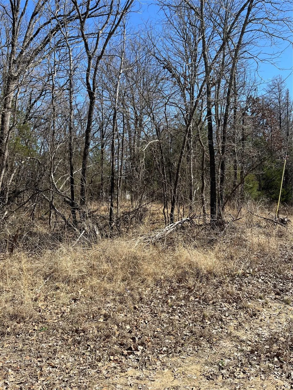 Unimproved Land For Sale in Hunt County , 0000 County Road 3605, Quinlan, Texas 75474, 0, 0, Garage spaces, 0 Sqft, built in 0, mls#21281298, Real Estate Agent in Quinlan, Homes For Sale in Hunt county, Homes For Sale in Quinlan, Realtor in Quinlan Texas, Real Estate Brokerage Independent Realty Texas, Luminita Cordes Realtor