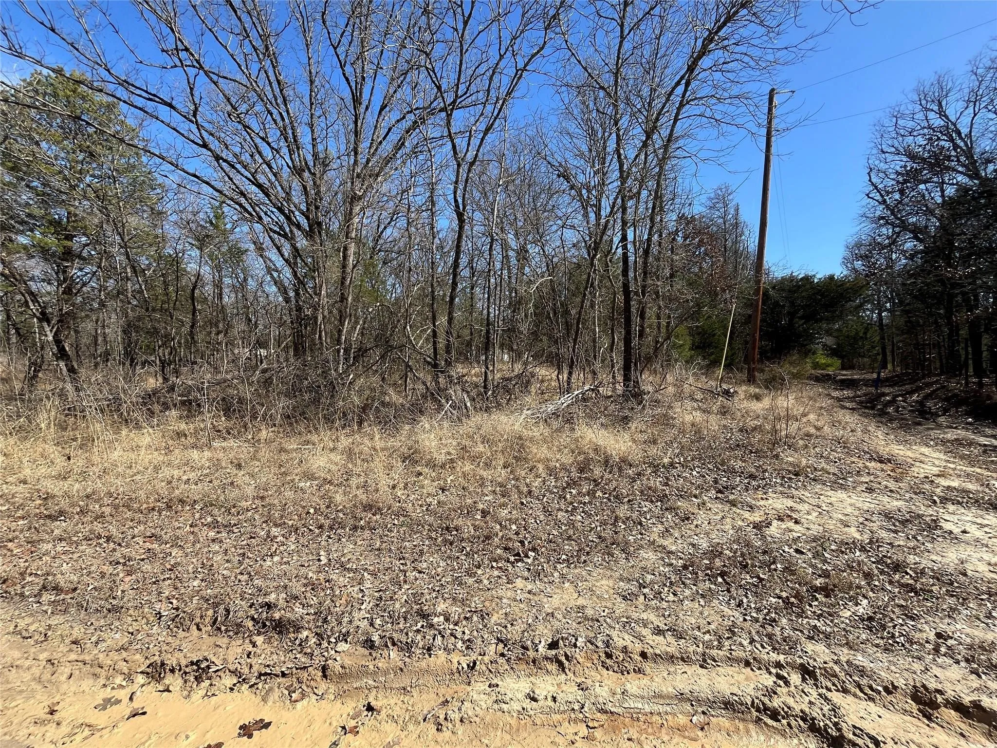 Unimproved Land For Sale in Hunt County , 0000 County Road 3605, Quinlan, Texas 75474, 0, 0, Garage spaces, 0 Sqft, built in 0, mls#21281298, Real Estate Agent in Quinlan, Homes For Sale in Hunt county, Homes For Sale in Quinlan, Realtor in Quinlan Texas, Real Estate Brokerage Independent Realty Texas, Luminita Cordes Realtor