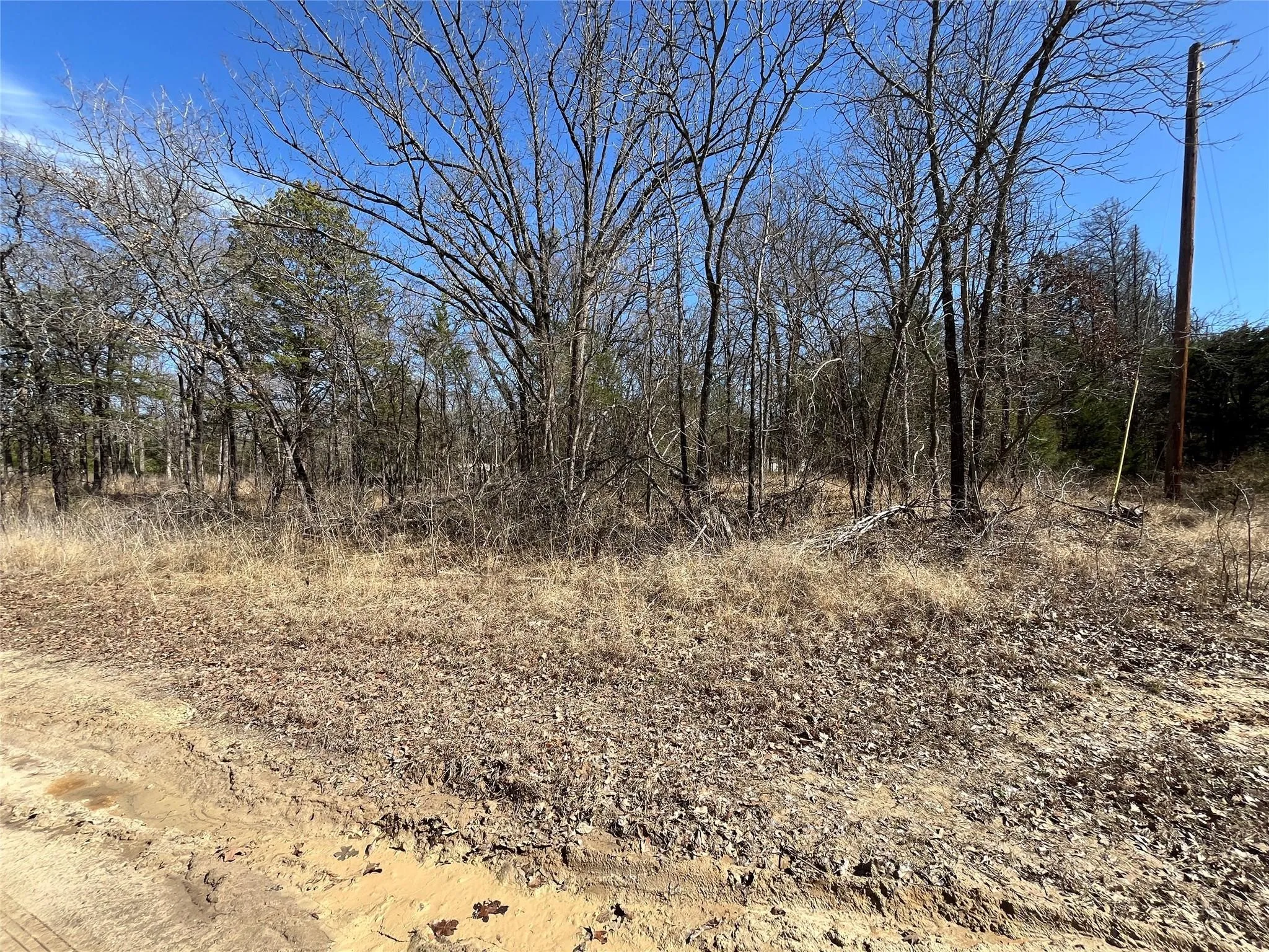 Unimproved Land For Sale in Hunt County , 0000 County Road 3605, Quinlan, Texas 75474, 0, 0, Garage spaces, 0 Sqft, built in 0, mls#21281298, Real Estate Agent in Quinlan, Homes For Sale in Hunt county, Homes For Sale in Quinlan, Realtor in Quinlan Texas, Real Estate Brokerage Independent Realty Texas, Luminita Cordes Realtor