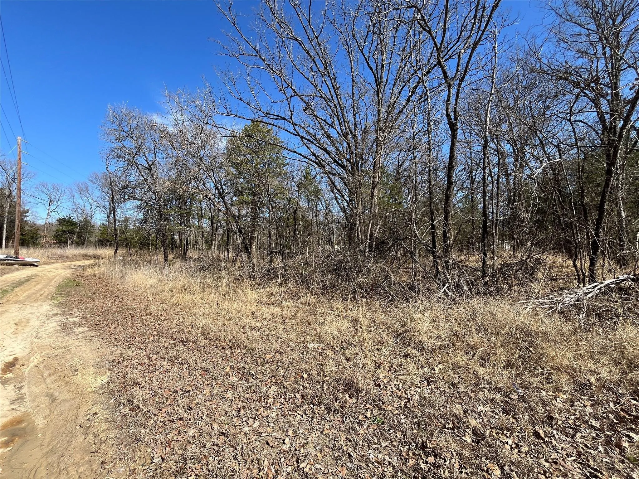 Unimproved Land For Sale in Hunt County , 0000 County Road 3605, Quinlan, Texas 75474, 0, 0, Garage spaces, 0 Sqft, built in 0, mls#21281298, Real Estate Agent in Quinlan, Homes For Sale in Hunt county, Homes For Sale in Quinlan, Realtor in Quinlan Texas, Real Estate Brokerage Independent Realty Texas, Luminita Cordes Realtor