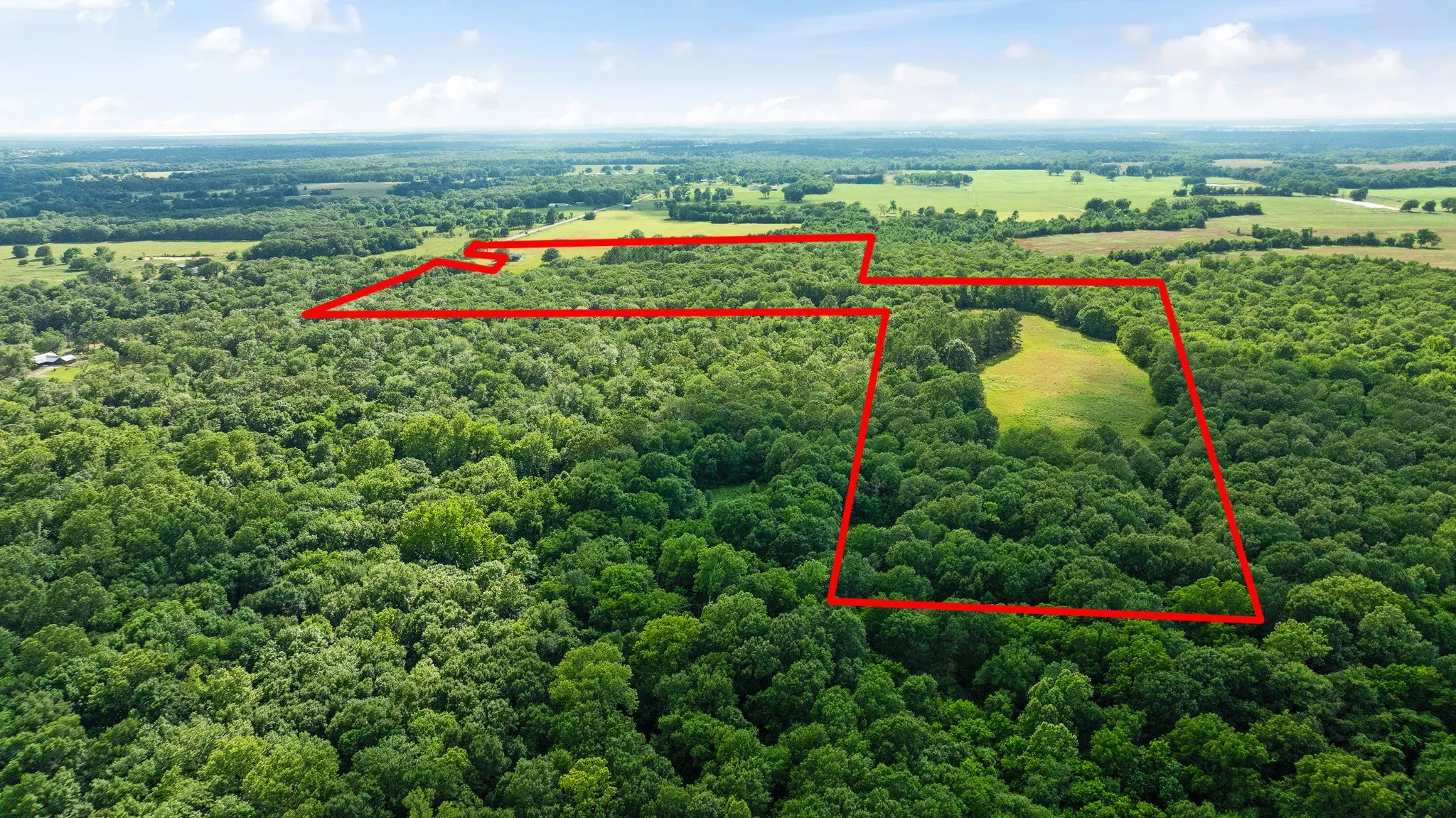 Unimproved Land For Sale in Lamar County , 958 County Road 37000, Sumner, Texas 75486, 0, 0, Garage spaces, 0 Sqft, built in 0, Price $309,900, mls#21281176, Real Estate Agent in Sumner, Homes For Sale in Lamar county, Homes For Sale in Sumner, Realtor in Sumner Texas, Real Estate Brokerage Independent Realty Texas, Luminita Cordes Realtor