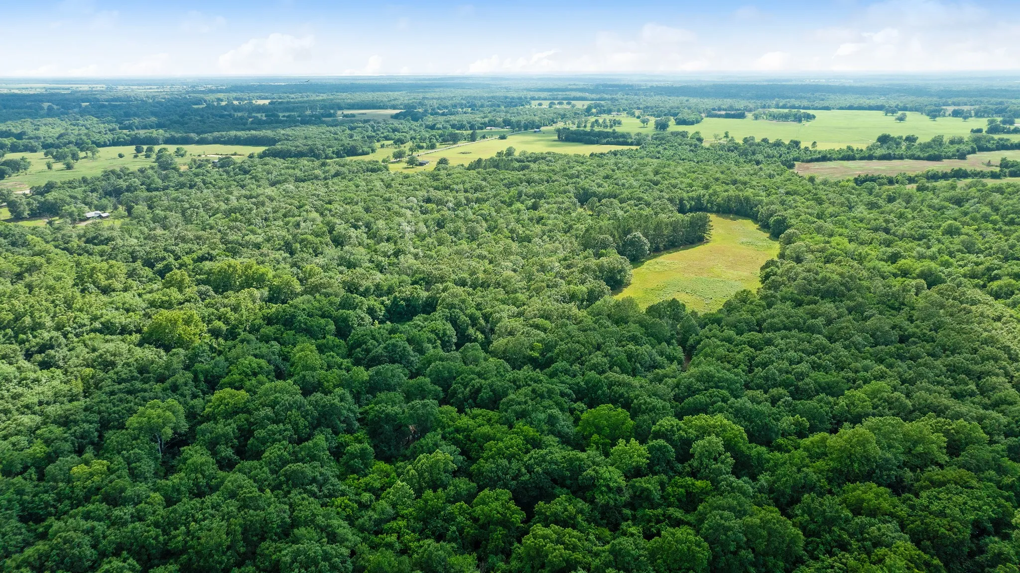 Unimproved Land For Sale in Lamar County , 958 County Road 37000, Sumner, Texas 75486, 0, 0, Garage spaces, 0 Sqft, built in 0, Price $309,900, mls#21281176, Real Estate Agent in Sumner, Homes For Sale in Lamar county, Homes For Sale in Sumner, Realtor in Sumner Texas, Real Estate Brokerage Independent Realty Texas, Luminita Cordes Realtor
