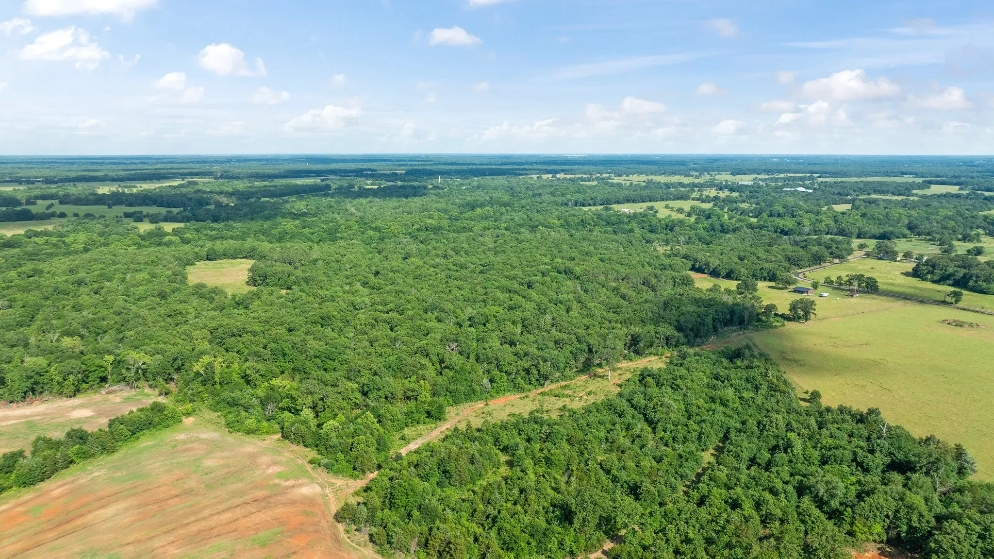 Unimproved Land For Sale in Lamar County , 958 County Road 37000, Sumner, Texas 75486, 0, 0, Garage spaces, 0 Sqft, built in 0, Price $309,900, mls#21281176, Real Estate Agent in Sumner, Homes For Sale in Lamar county, Homes For Sale in Sumner, Realtor in Sumner Texas, Real Estate Brokerage Independent Realty Texas, Luminita Cordes Realtor