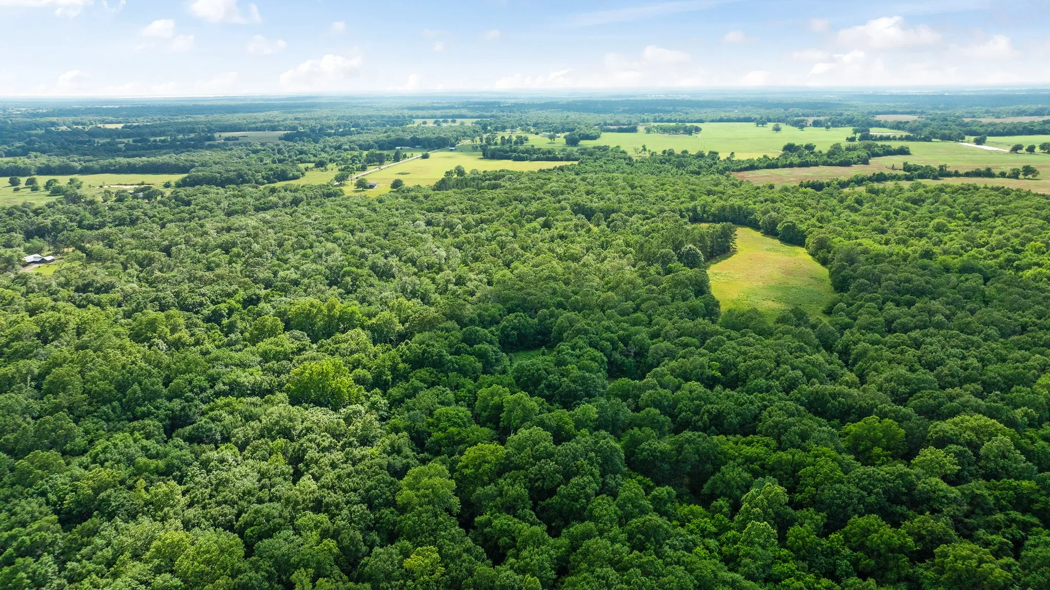 Unimproved Land For Sale in Lamar County , 958 County Road 37000, Sumner, Texas 75486, 0, 0, Garage spaces, 0 Sqft, built in 0, Price $309,900, mls#21281176, Real Estate Agent in Sumner, Homes For Sale in Lamar county, Homes For Sale in Sumner, Realtor in Sumner Texas, Real Estate Brokerage Independent Realty Texas, Luminita Cordes Realtor