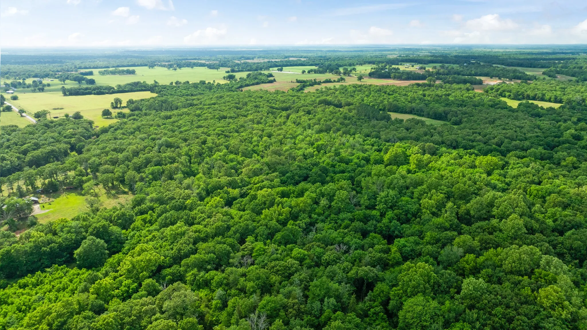 Unimproved Land For Sale in Lamar County , 958 County Road 37000, Sumner, Texas 75486, 0, 0, Garage spaces, 0 Sqft, built in 0, Price $309,900, mls#21281176, Real Estate Agent in Sumner, Homes For Sale in Lamar county, Homes For Sale in Sumner, Realtor in Sumner Texas, Real Estate Brokerage Independent Realty Texas, Luminita Cordes Realtor