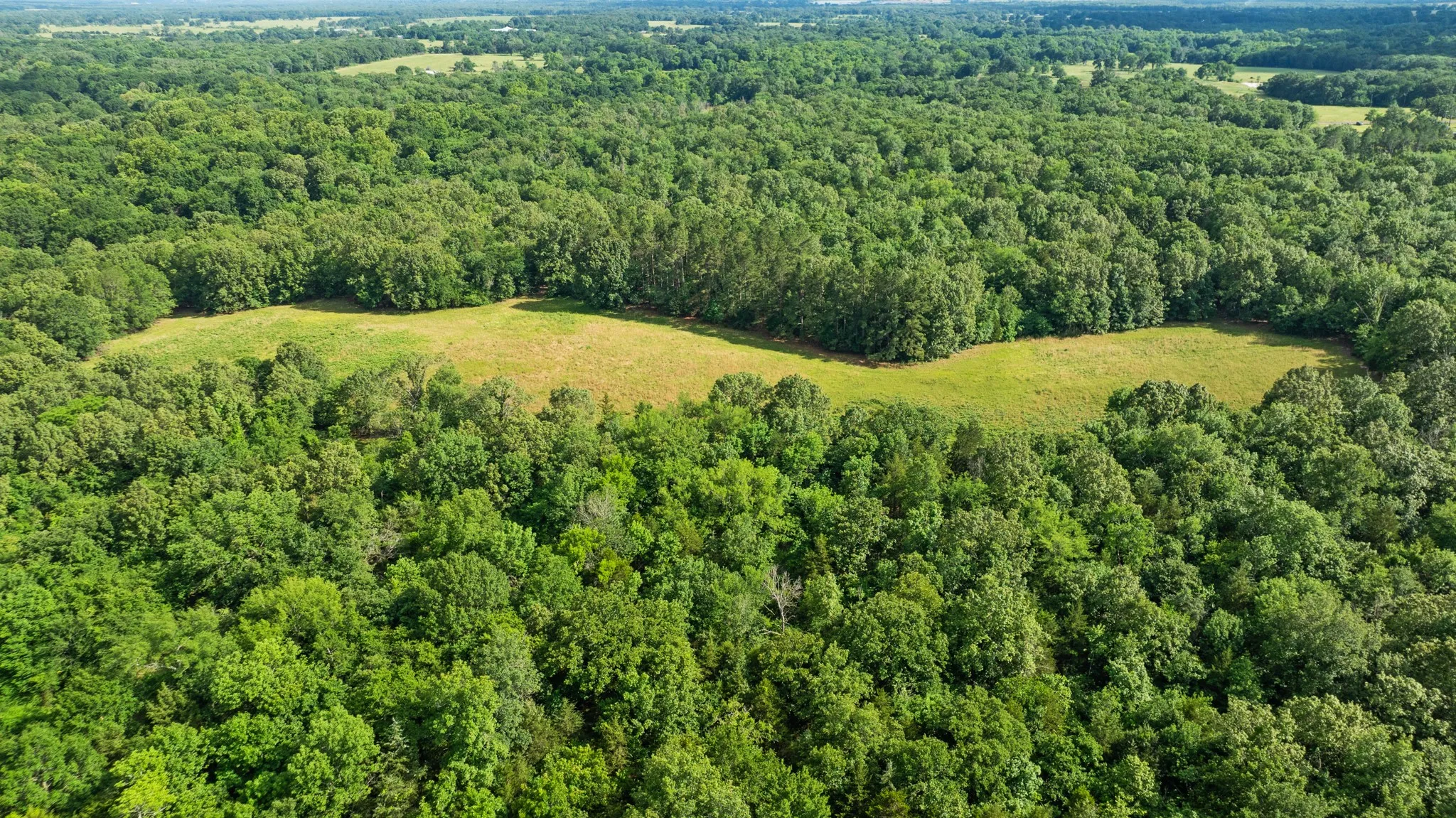 Unimproved Land For Sale in Lamar County , 958 County Road 37000, Sumner, Texas 75486, 0, 0, Garage spaces, 0 Sqft, built in 0, Price $309,900, mls#21281176, Real Estate Agent in Sumner, Homes For Sale in Lamar county, Homes For Sale in Sumner, Realtor in Sumner Texas, Real Estate Brokerage Independent Realty Texas, Luminita Cordes Realtor
