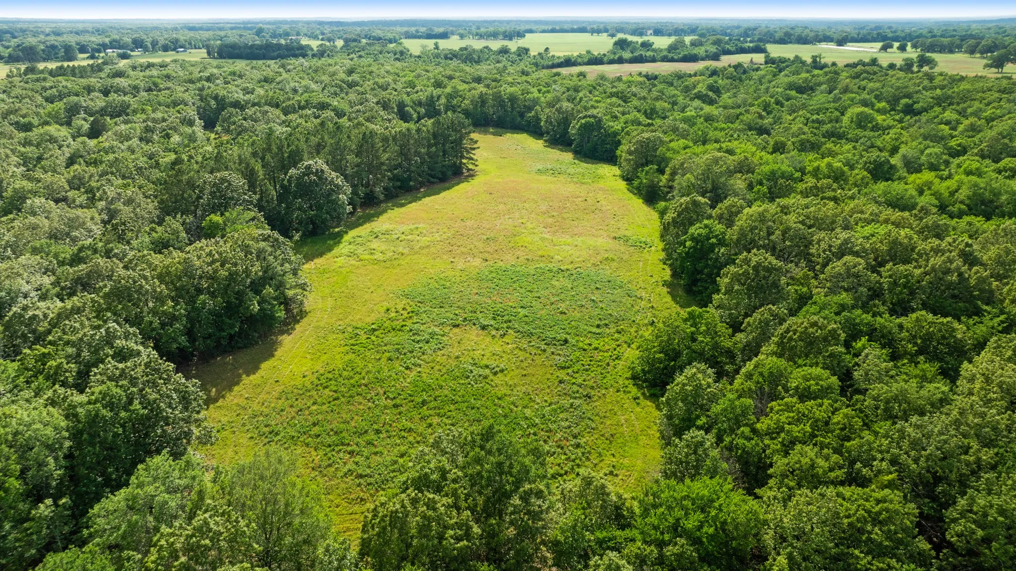 Unimproved Land For Sale in Lamar County , 958 County Road 37000, Sumner, Texas 75486, 0, 0, Garage spaces, 0 Sqft, built in 0, Price $309,900, mls#21281176, Real Estate Agent in Sumner, Homes For Sale in Lamar county, Homes For Sale in Sumner, Realtor in Sumner Texas, Real Estate Brokerage Independent Realty Texas, Luminita Cordes Realtor